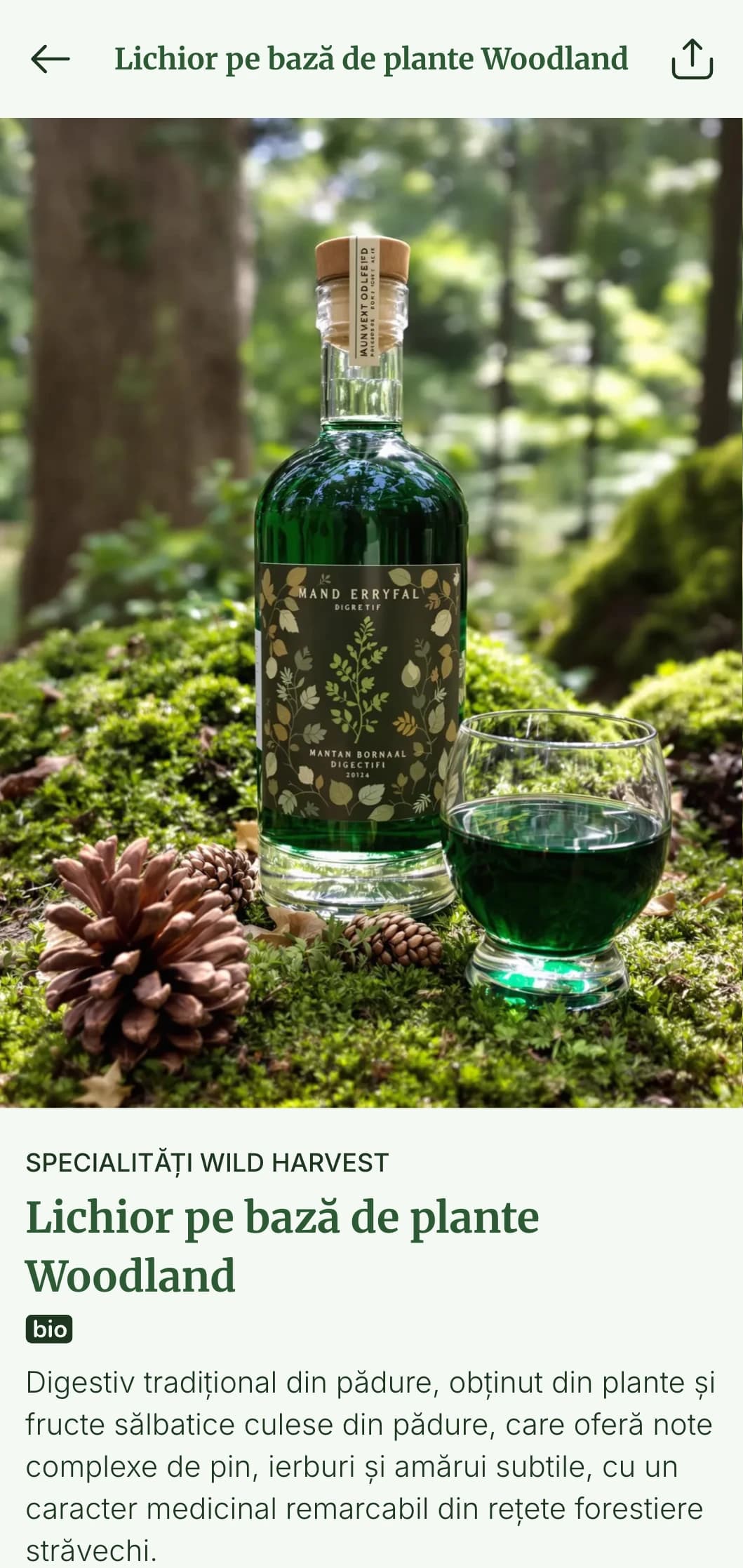 Șablon pentru lista de vinuri inspirat din natură, cu tonuri de pădure și elemente botanice, perfect pentru programele de vinuri organice și localuri inspirate din păduri.
