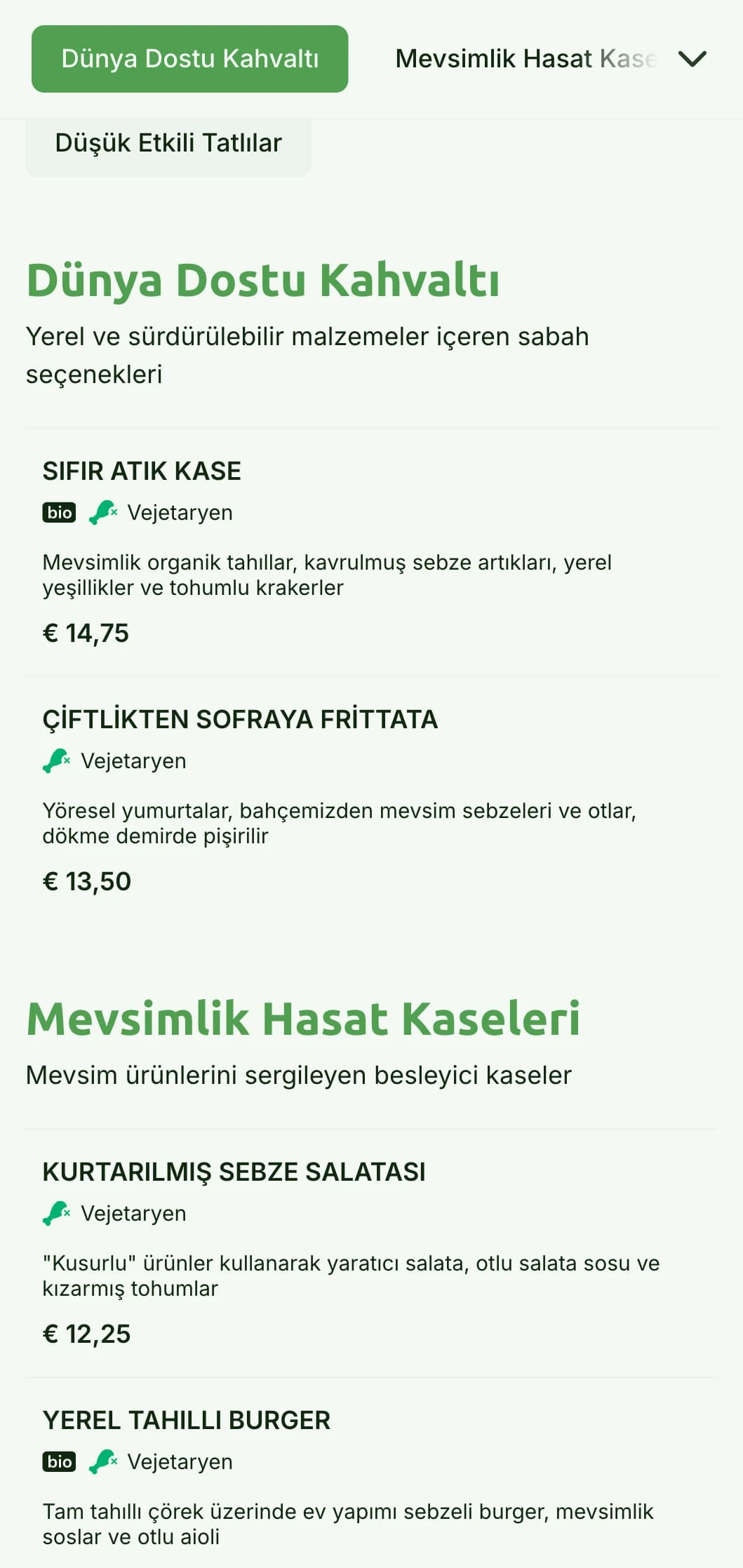 Sürdürülebilir kafeler için çevre dostu unsurlar içeren, doğadan ilham alan yeşil tasarım.