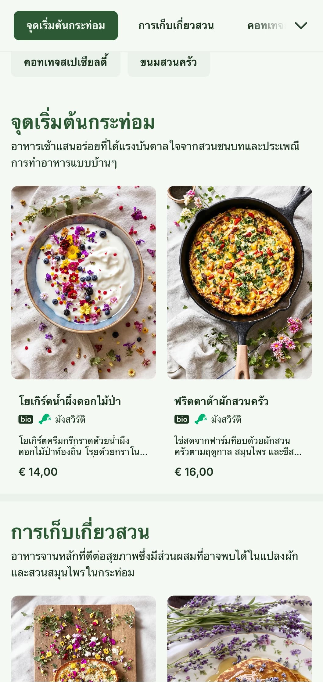 เทมเพลตบรันช์แบบชนบทอันน่ารักและมีเสน่ห์พร้อมสุนทรียศาสตร์แบบกระท่อม เหมาะสำหรับร้านกาแฟสไตล์บ้านๆ และสวน