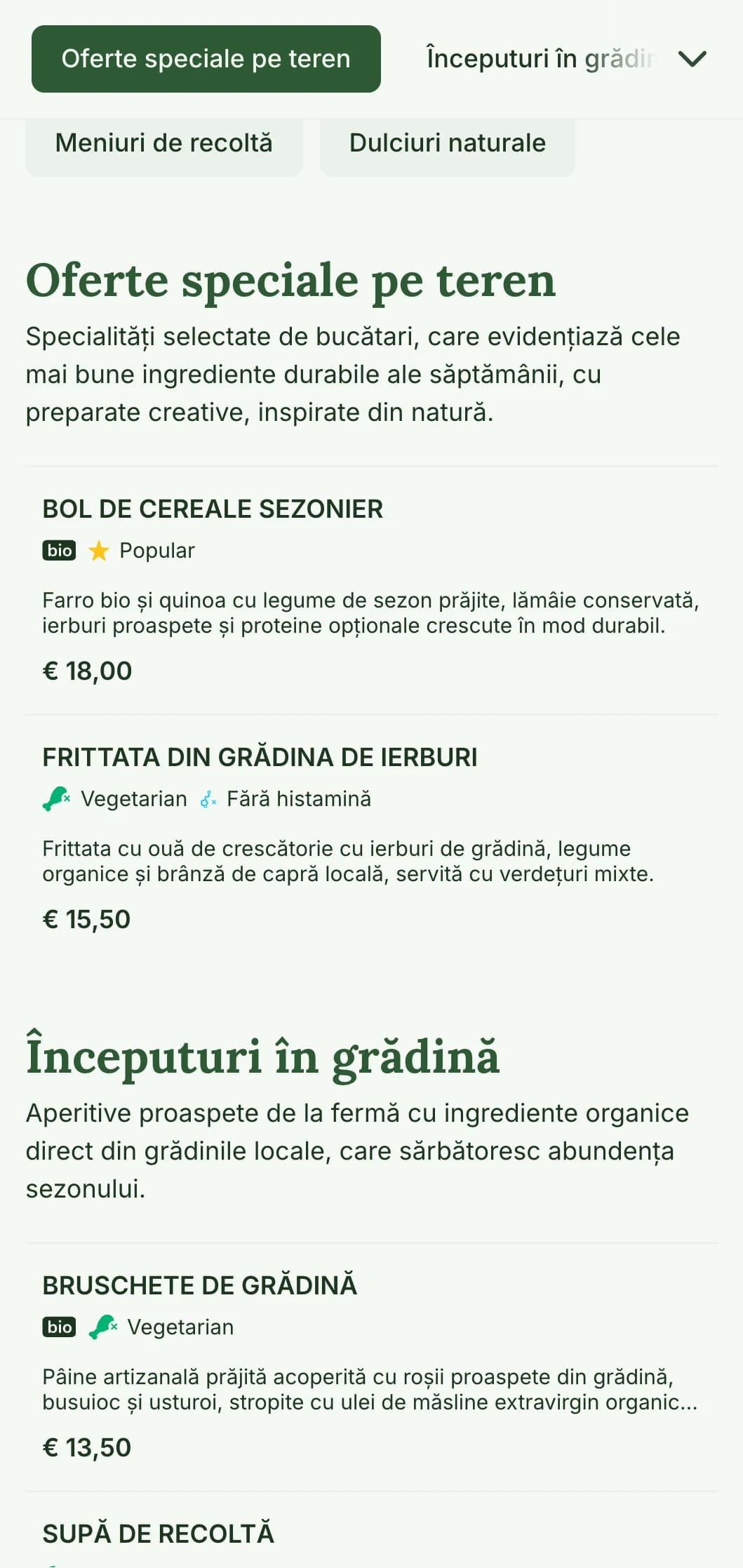 Un meniu de prânz proaspăt, inspirat din natură, care evidențiază ingredientele de sezon și ofertele de la fermă la masă, ideal pentru cafenele și restaurante care se concentrează pe mesele sănătoase și organice de prânz.