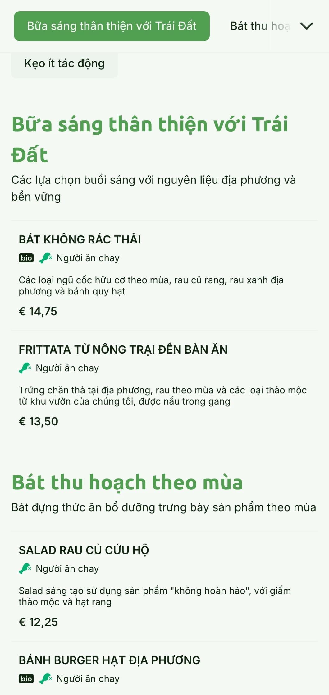 Thiết kế xanh lấy cảm hứng từ thiên nhiên với các yếu tố thân thiện với môi trường dành cho quán cà phê bền vững.