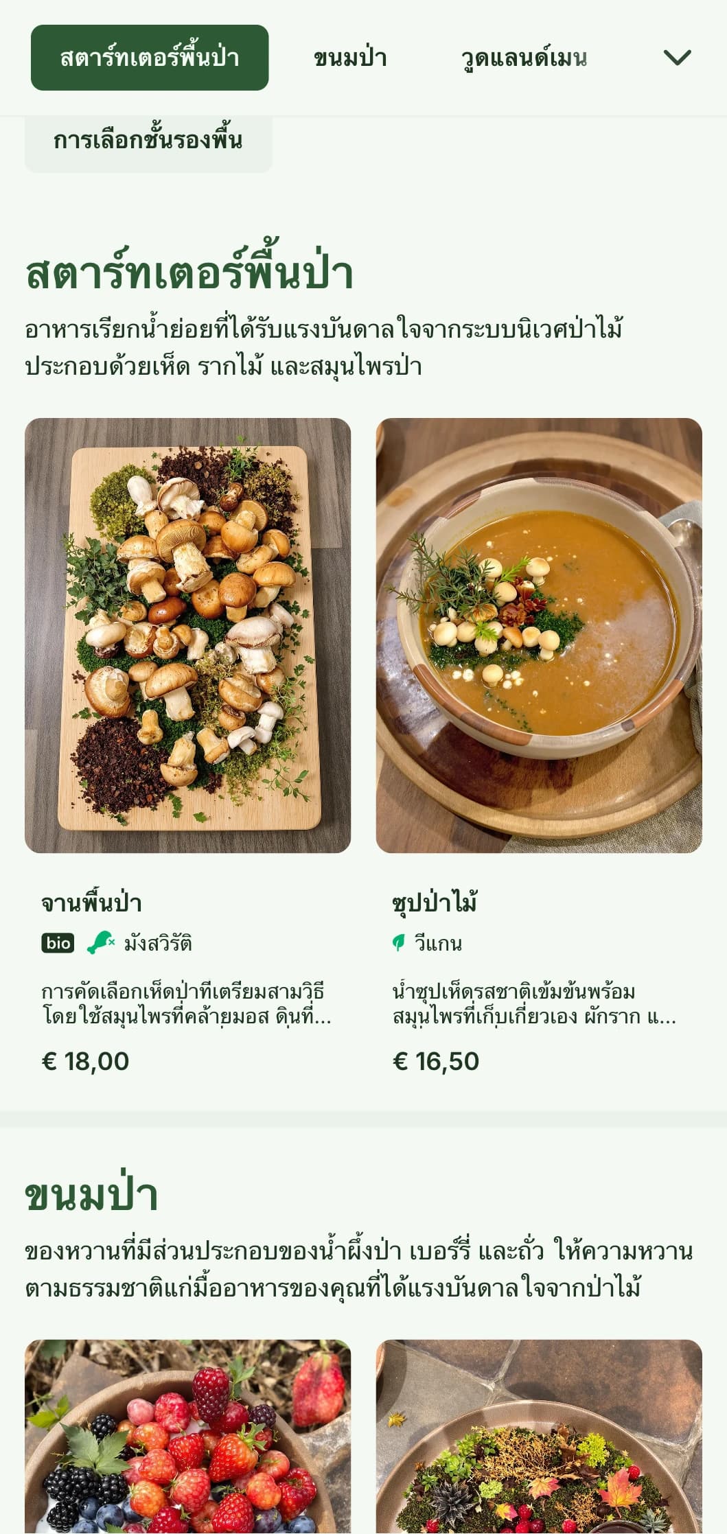 การออกแบบเมนูอาหารกลางวันที่ได้รับแรงบันดาลใจจากป่าอันลึกลับพร้อมด้วยองค์ประกอบของป่าไม้และพื้นผิวตามธรรมชาติ เหมาะสำหรับร้านอาหารที่มีบรรยากาศป่าไม้หรือมีธีมเกี่ยวกับป่า