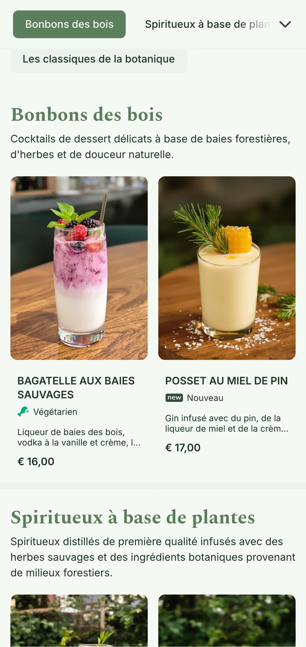 Un design inspiré de la forêt pour les bars spécialisés dans les ingrédients issus de la forêt et les cocktails à base d'herbes.
