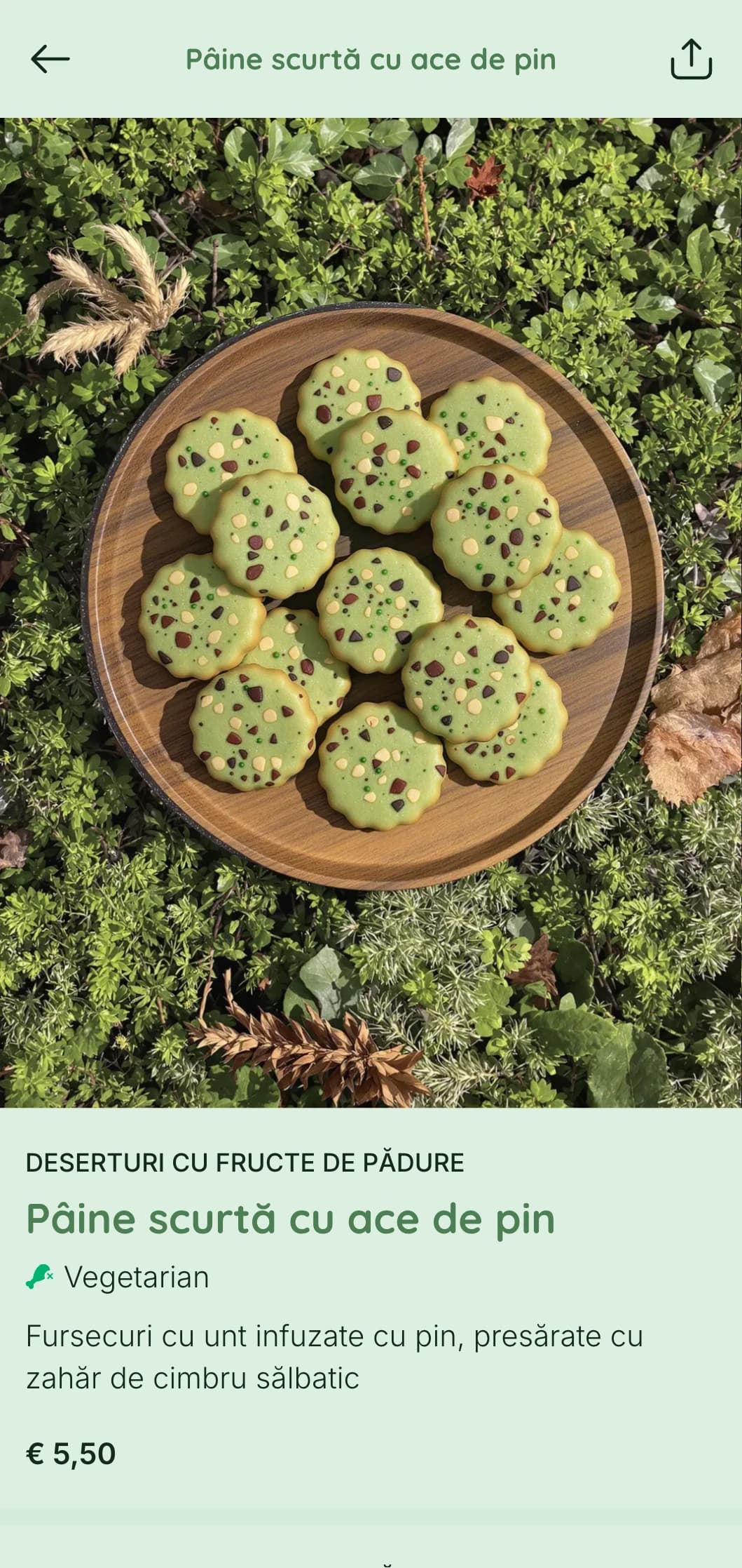Design verde intens cu elemente forestiere pentru cafenele cu tematică naturală și restaurante din pădure.