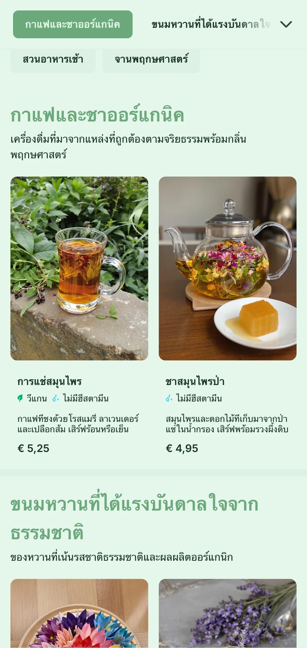 การออกแบบในธีมสีเขียวสดใสพร้อมองค์ประกอบพฤกษศาสตร์สำหรับคาเฟ่ในสวนและร้านอาหารมื้อสายแบบออร์แกนิก