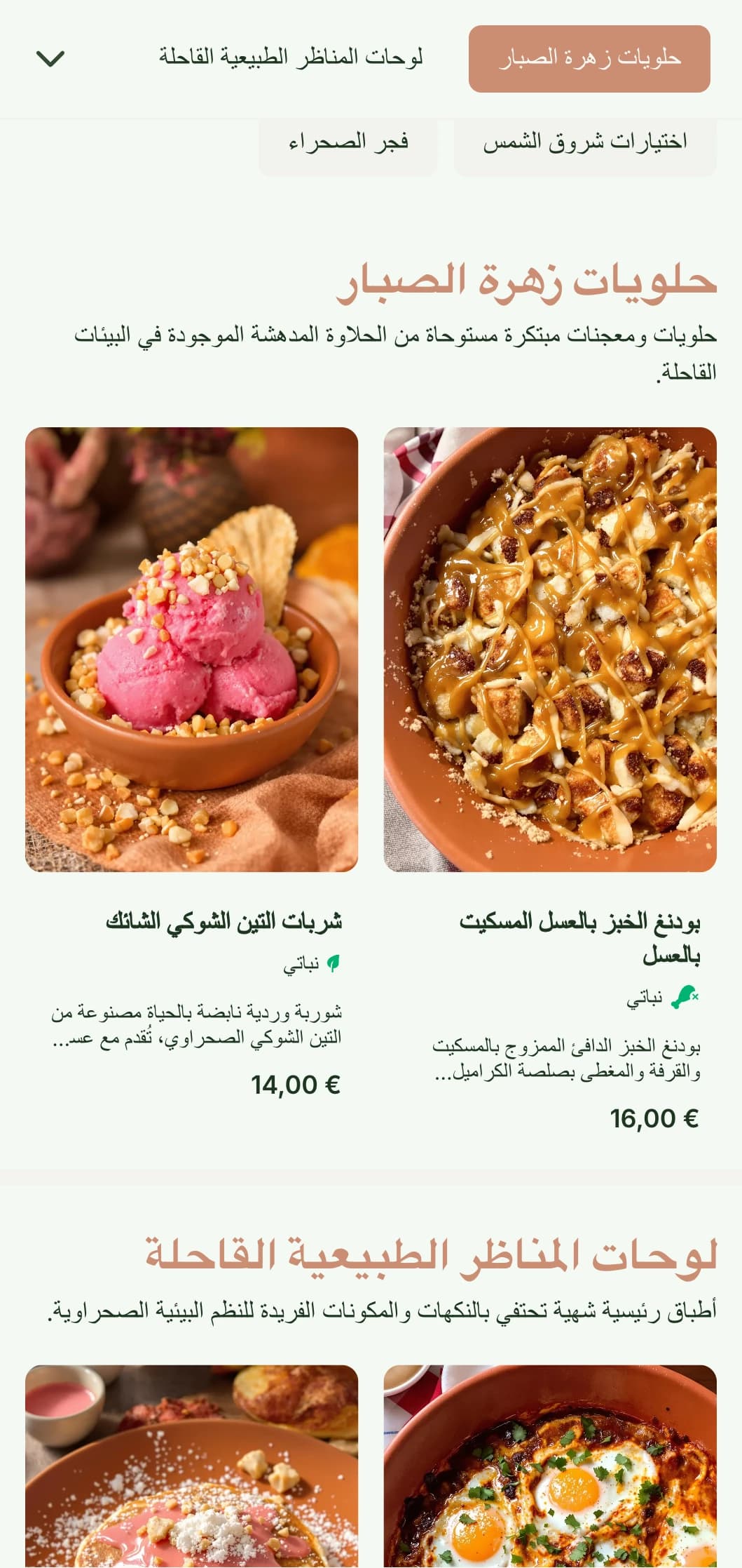 قالب برانش ترابي دافئ وترابي بألوان التيراكوتا، مثالي للمقاهي المستوحاة من الجنوب الغربي والأماكن القاحلة.