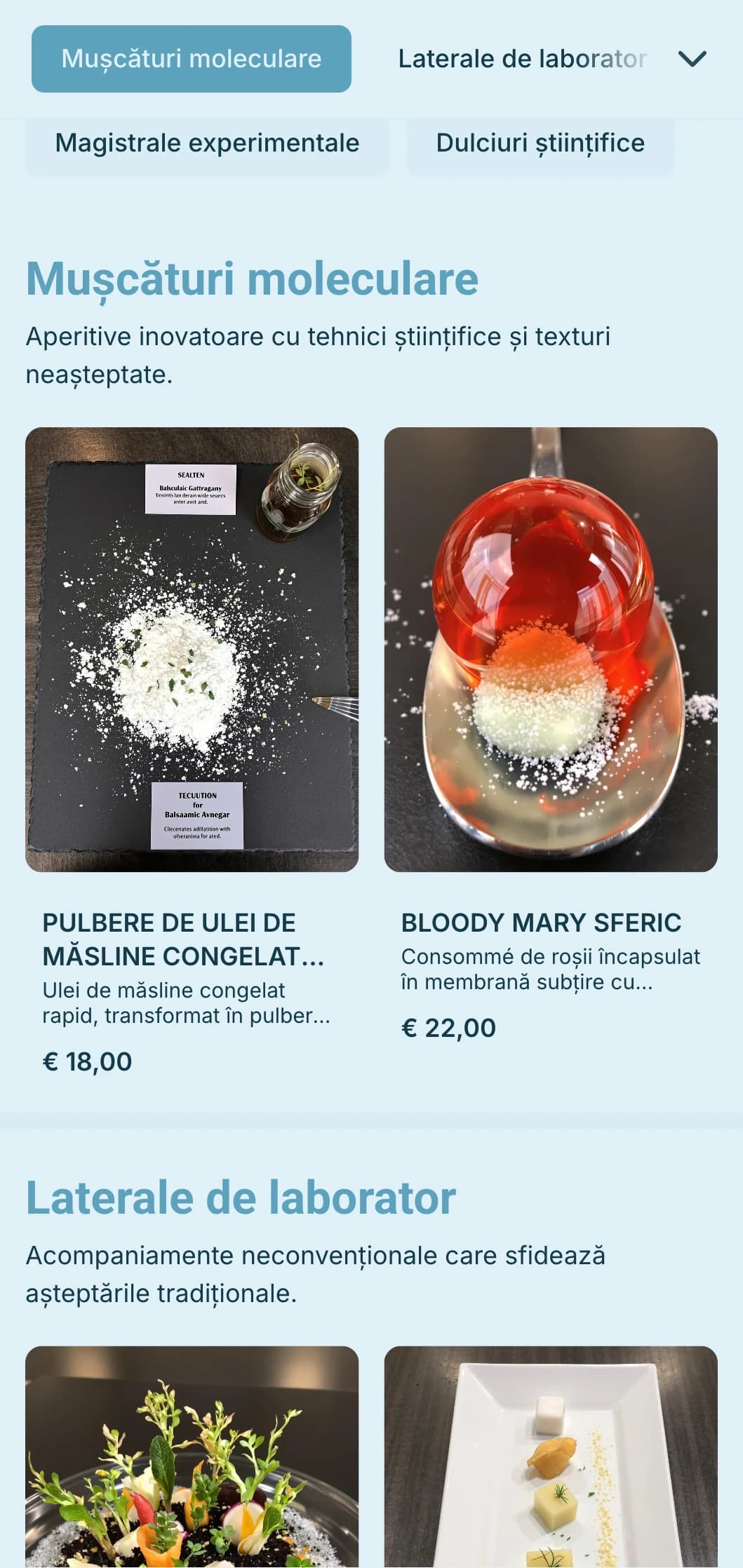 Catering inovator de gastronomie moleculară cu tehnici științifice, texturi neobișnuite și prezentare spectaculoasă pentru evenimente de ultimă oră.