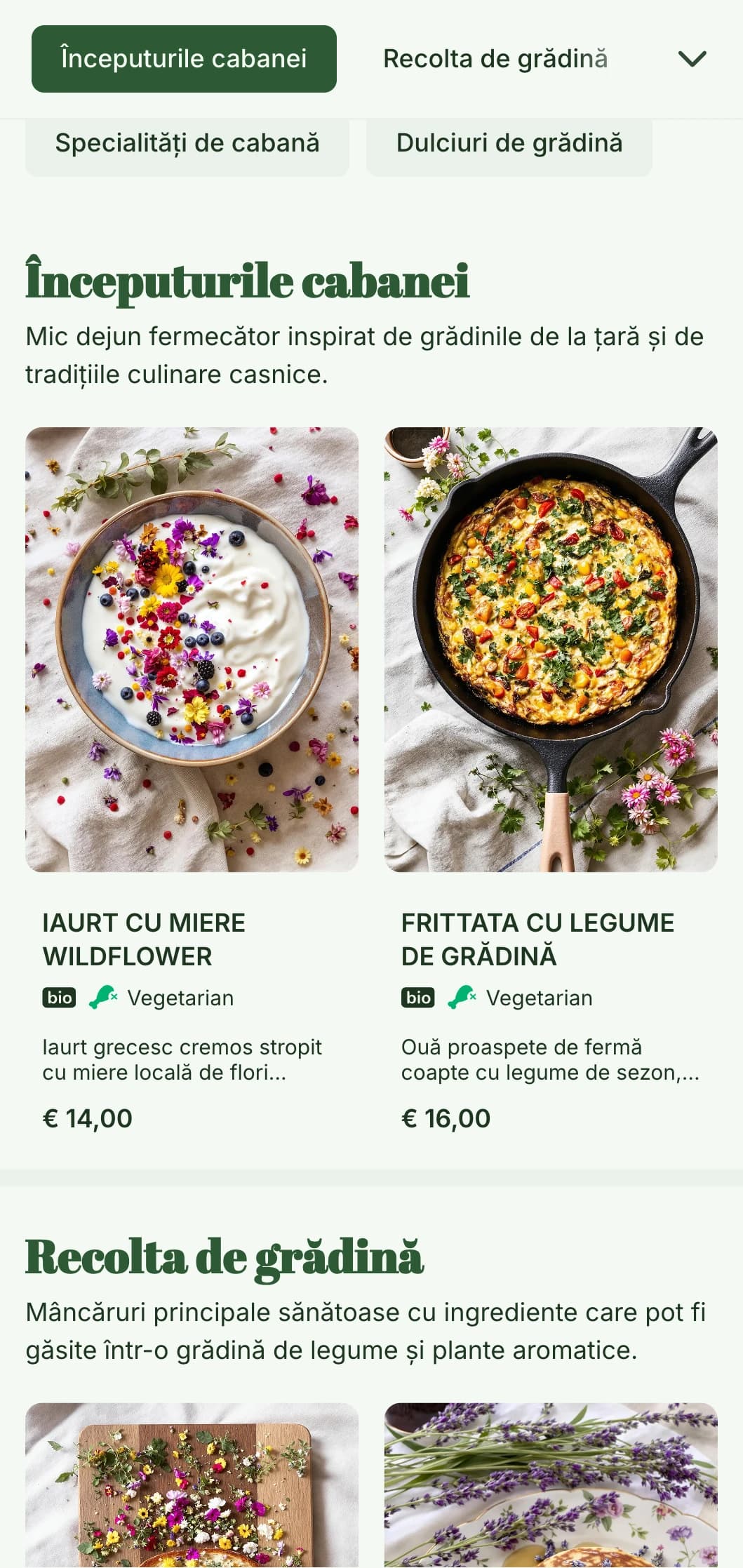 Șablon de brunch fermecător, rustic, cu estetică de bază de cabană, ideal pentru cafenele cu stil de casă și decoruri de grădină.