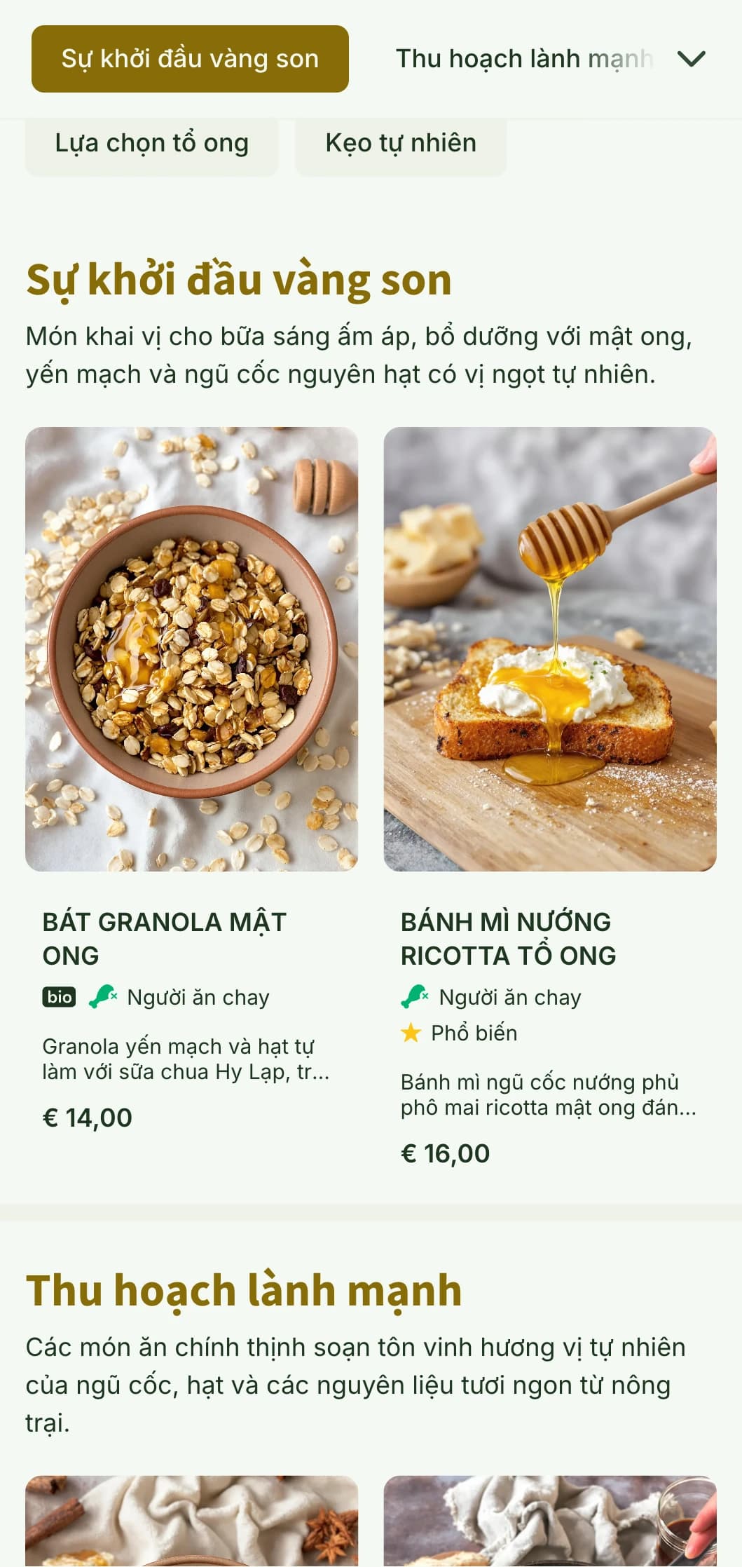 Mẫu bữa sáng muộn ấm áp, vàng ươm với kết cấu tự nhiên, lý tưởng cho các điểm ăn sáng lành mạnh và quán cà phê bánh mì.