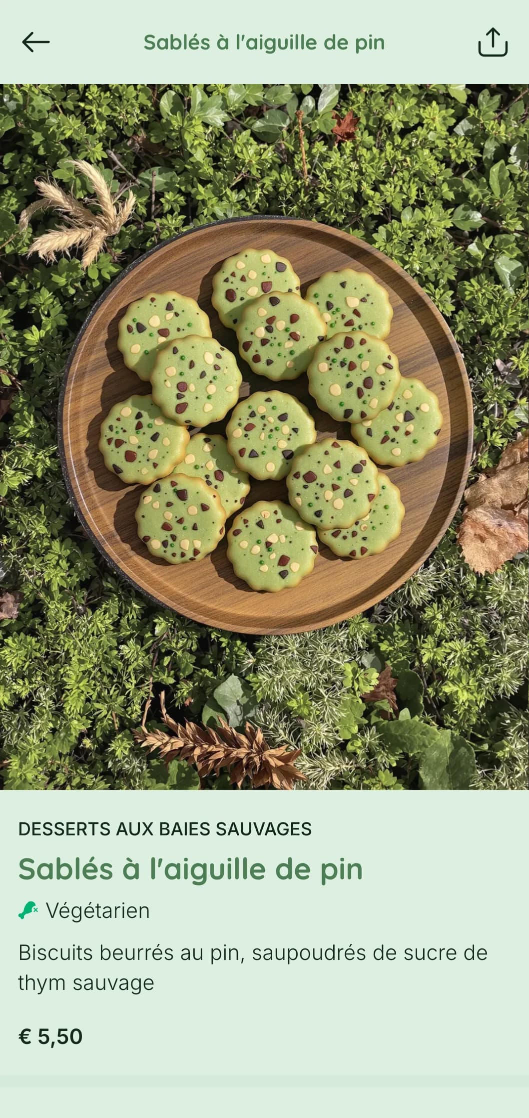 Design d'un vert profond avec des éléments forestiers pour les cafés sur le thème de la nature et les restaurants en forêt.