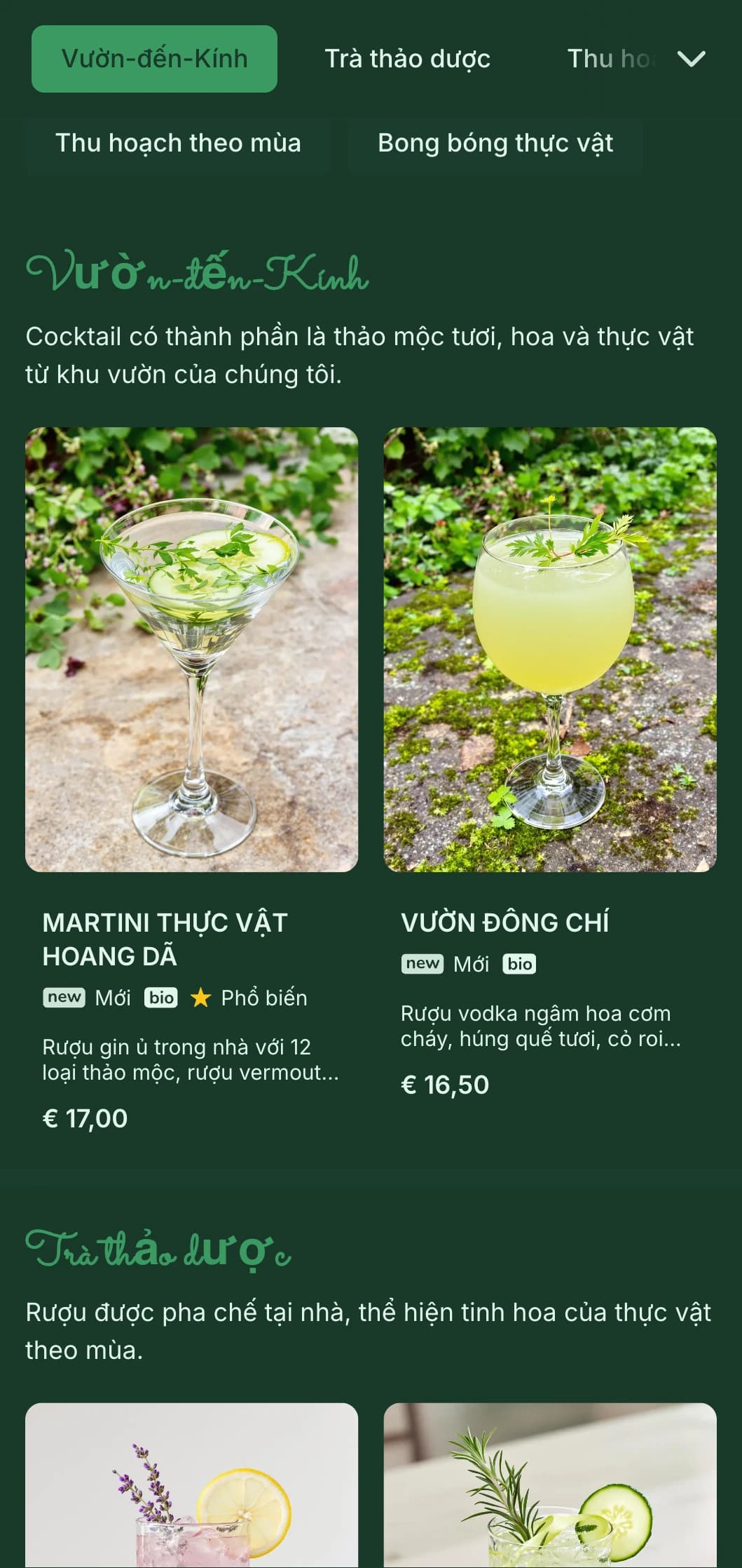 Bảng màu xanh tươi mát với hình minh họa thảo mộc vẽ tay dành cho các chuyên gia pha chế cocktail thực vật.