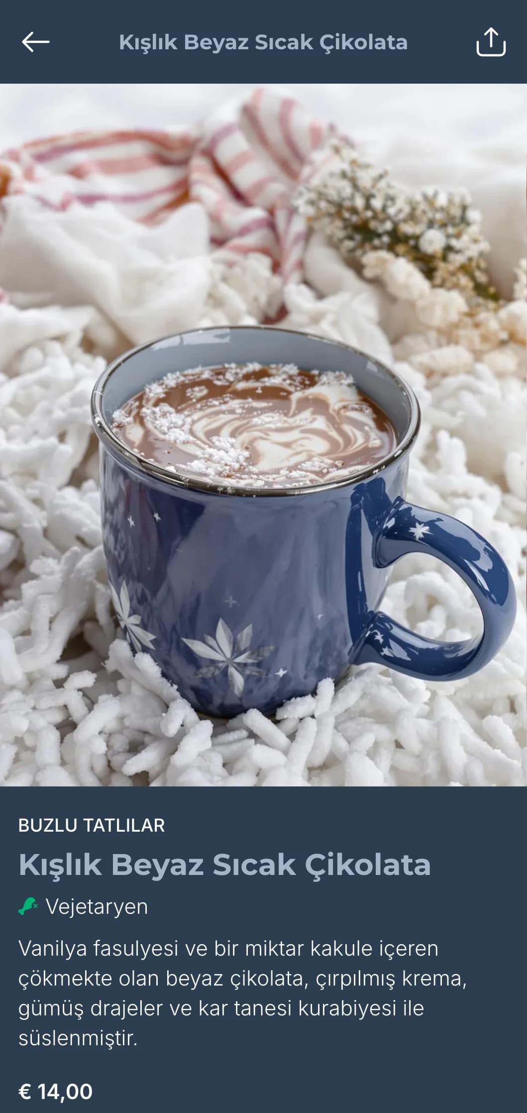 Mevsimlik menüler ve rahat kış kafeleri için uygun, buzlu mavi tonlarıyla kıştan ilham alan havalı brunch şablonu.