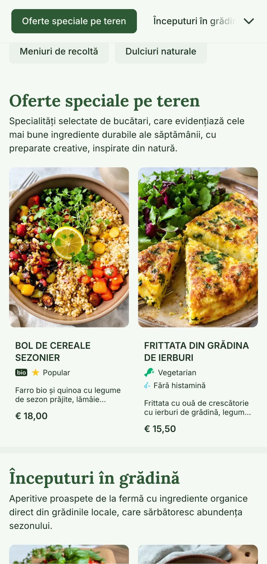 Un meniu de prânz proaspăt, inspirat din natură, care evidențiază ingredientele de sezon și ofertele de la fermă la masă, ideal pentru cafenele și restaurante care se concentrează pe mesele sănătoase și organice de prânz.