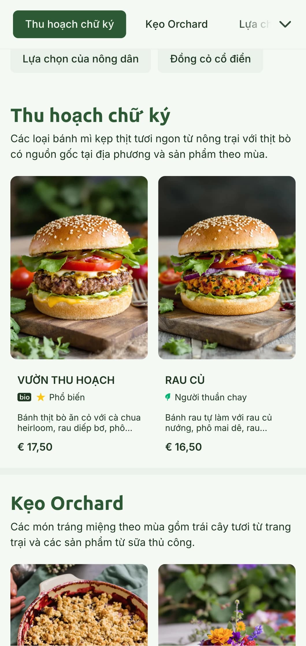 Ý tưởng về bánh mì kẹp thịt lành mạnh từ nông trại đến bàn ăn với rau xanh tự nhiên và các yếu tố mộc mạc làm nổi bật chất lượng nguyên liệu.