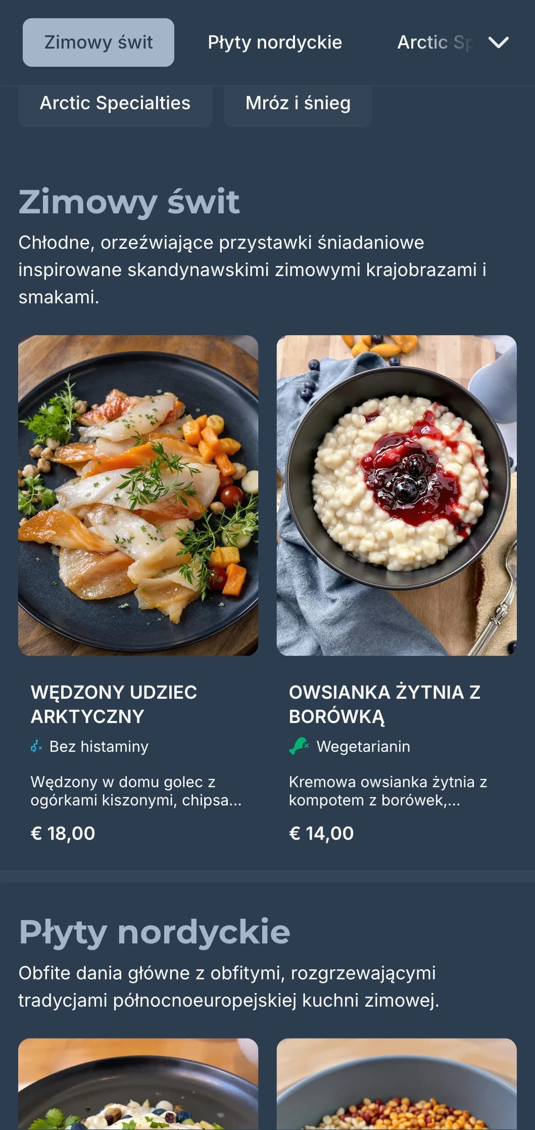 Głęboko niebieski szablon z chłodnymi akcentami, inspirowany skandynawską zimową estetyką dla współczesnych kawiarni.