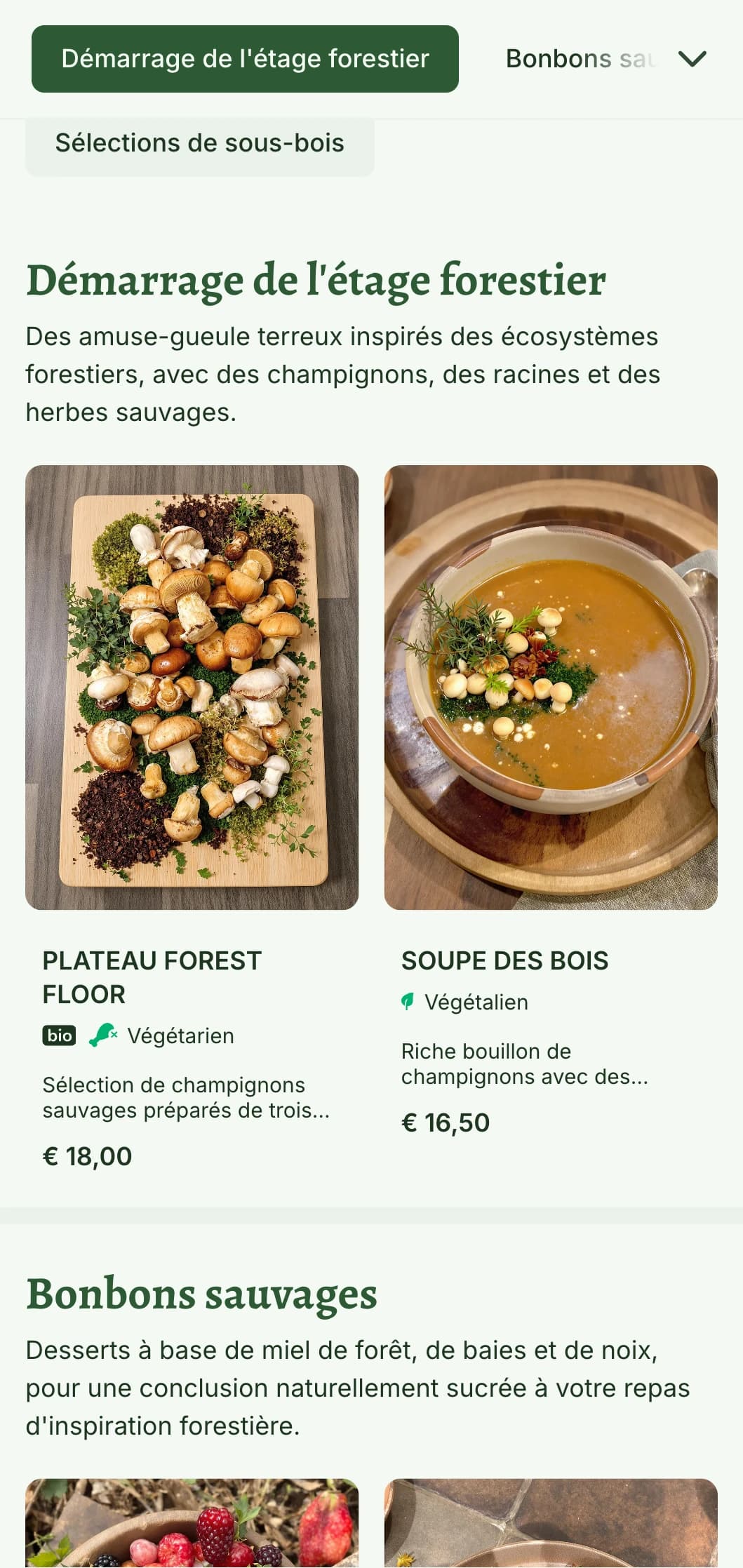 Menu de déjeuner mystique, inspiré de la forêt, avec des éléments forestiers et des textures naturelles, idéal pour les restaurants situés dans des zones boisées ou sur le thème de la forêt.