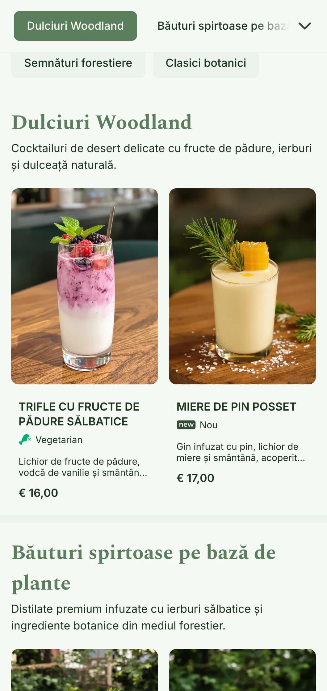 Un design inspirat din pădure pentru baruri specializate în ingrediente culese din pădure și cocktailuri infuzate cu plante.