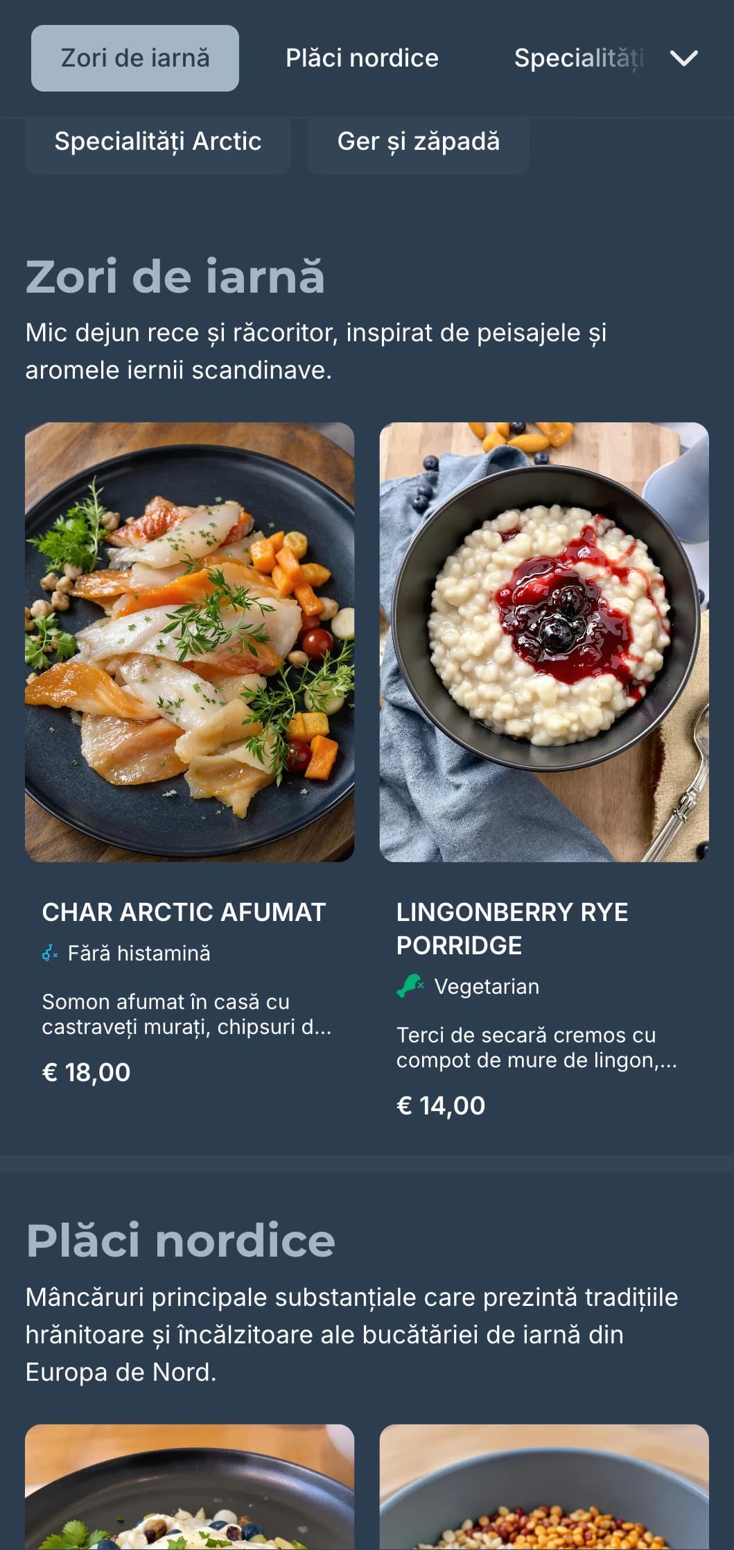 Șablon albastru închis cu accente reci, inspirat de estetica de iarnă scandinavă pentru cafenele contemporane.