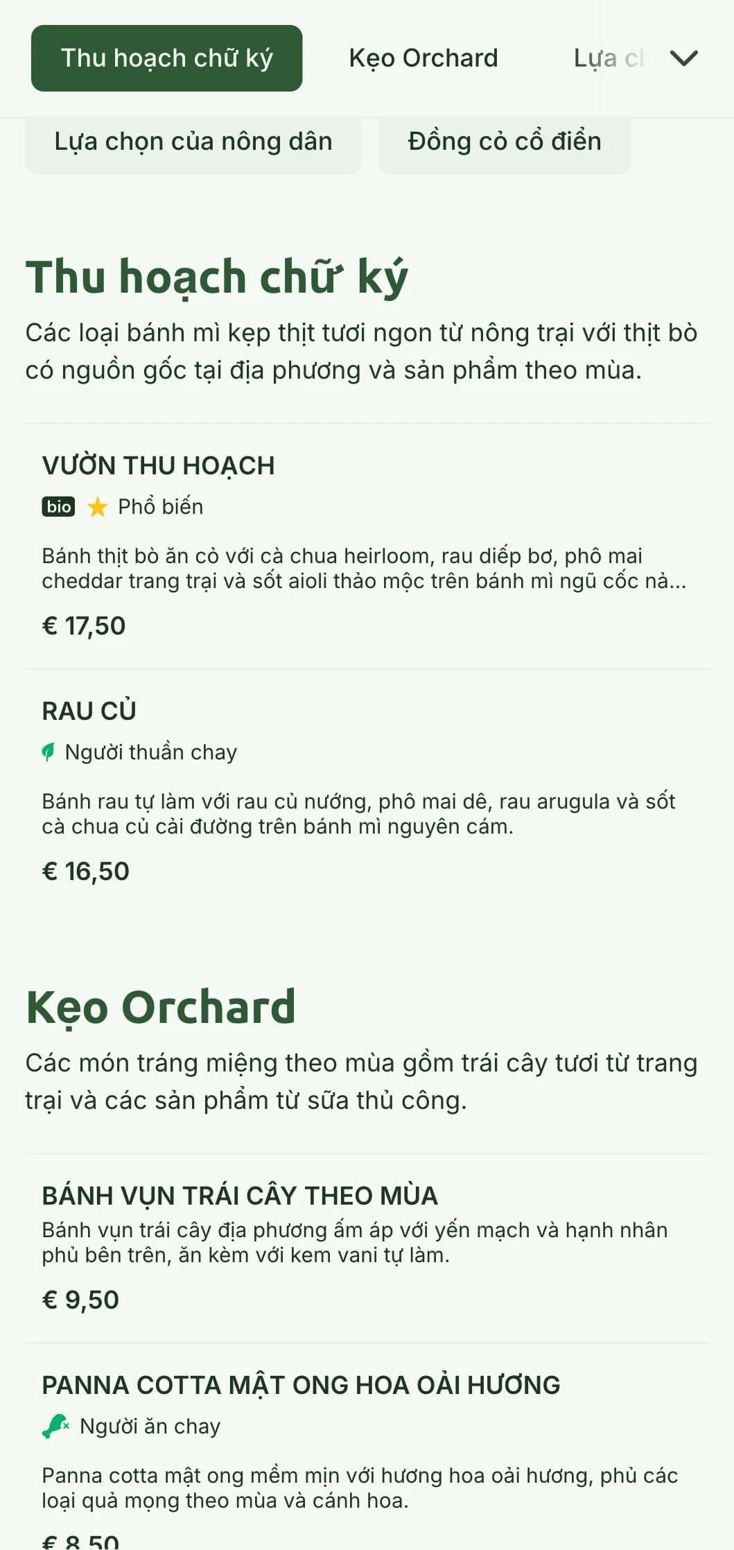 Ý tưởng về bánh mì kẹp thịt lành mạnh từ nông trại đến bàn ăn với rau xanh tự nhiên và các yếu tố mộc mạc làm nổi bật chất lượng nguyên liệu.
