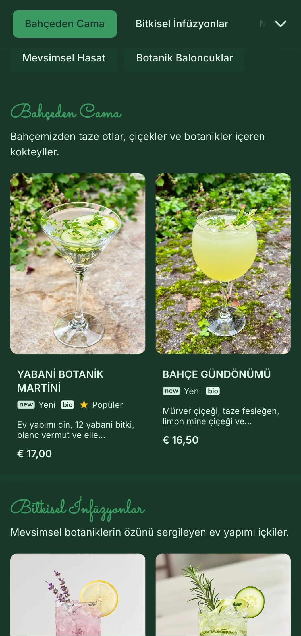 Botanik kokteyl uzmanları için elle çizilmiş bitki illüstrasyonlarıyla ferahlatıcı yeşil palet.