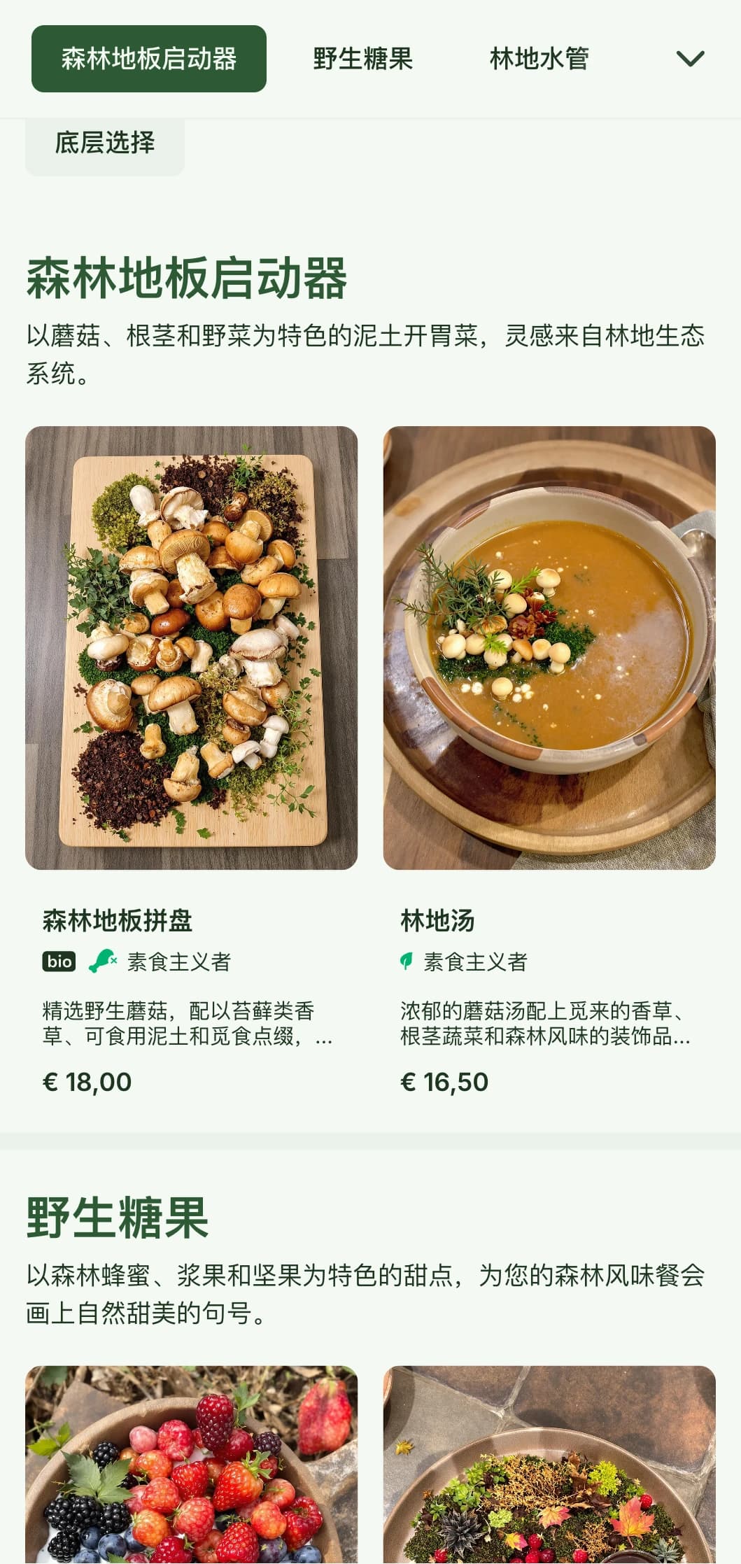 神秘的森林风格午餐菜单设计，采用林地元素和自然纹理，是林地餐厅或森林主题餐厅的理想选择。