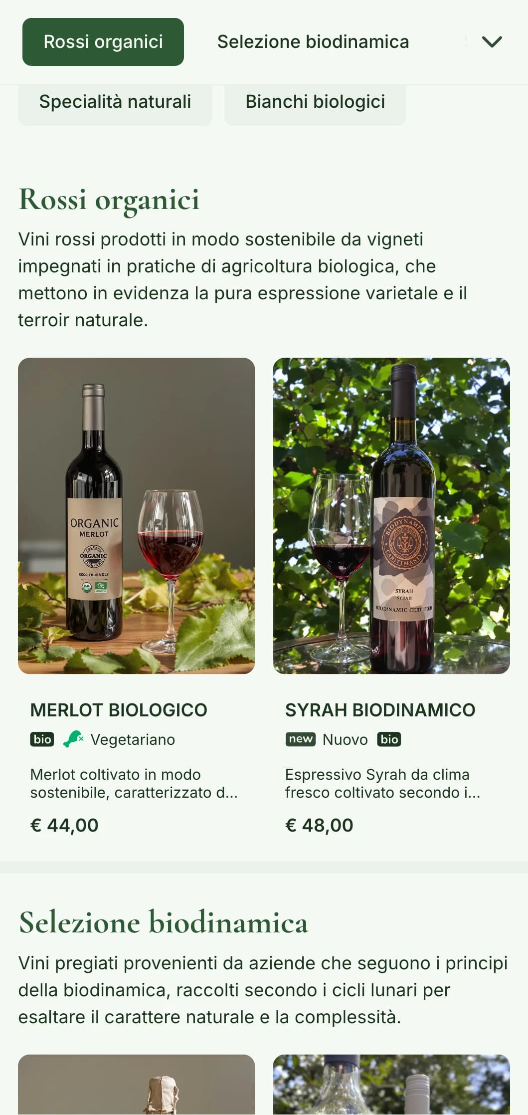 Modello di carta dei vini ispirato alla natura, con toni terrosi ed elementi botanici, perfetto per le selezioni di vini biologici e i ristoranti "farm-to-table".