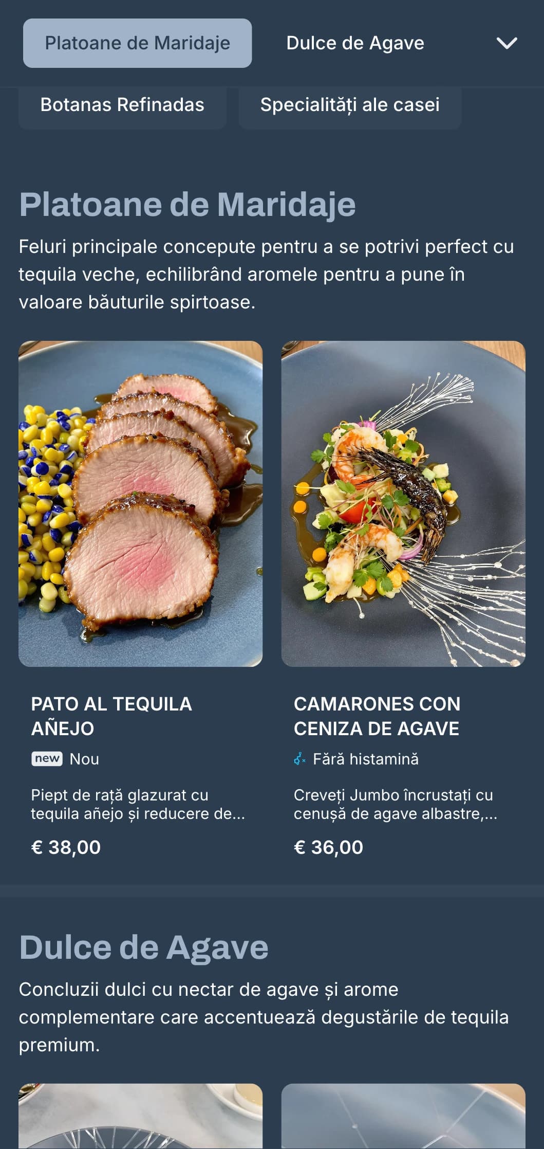 Meniu de bar cu tequila elegant și rafinat, cu tonuri argintii și albastru-cenușiu, băuturi spirtoase premium și preparate mexicane sofisticate.