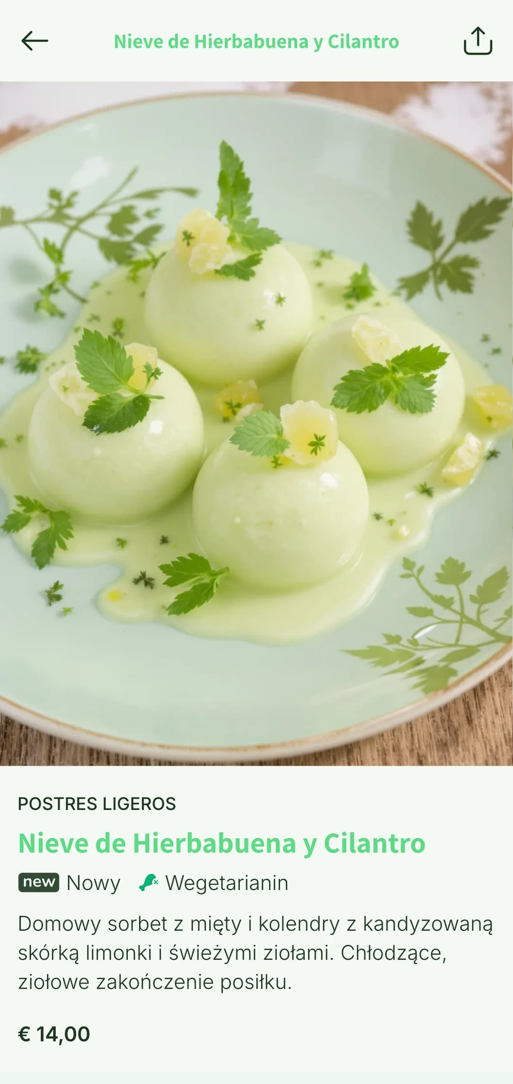 Lekkie i żywe współczesne menu meksykańskie z jasnymi akcentami ziołowymi, nowoczesnymi prezentacjami i daniami opartymi na świeżych składnikach.