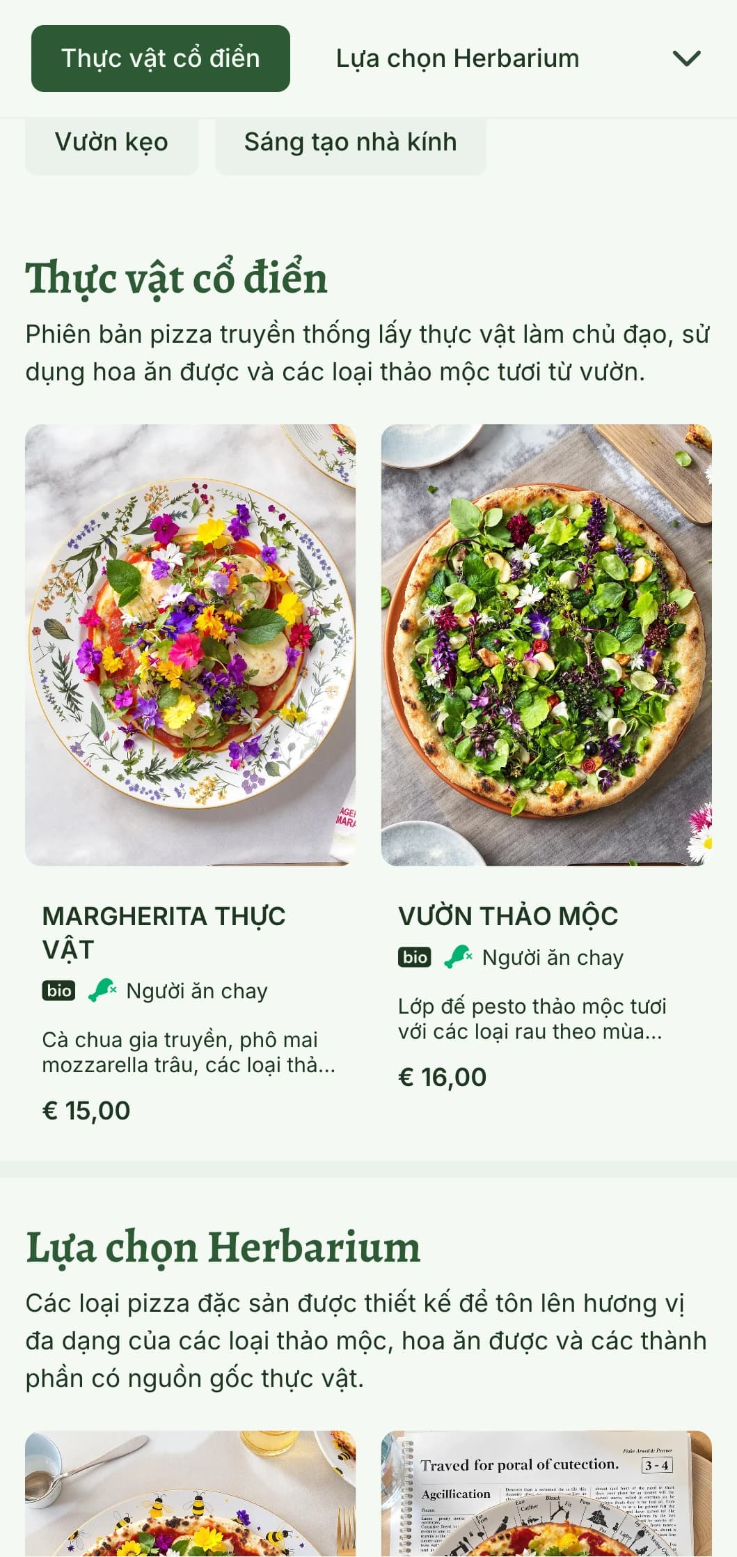 Thực đơn pizza làm từ thực vật với hình ảnh minh họa thực vật và các yếu tố thiết kế tự nhiên.