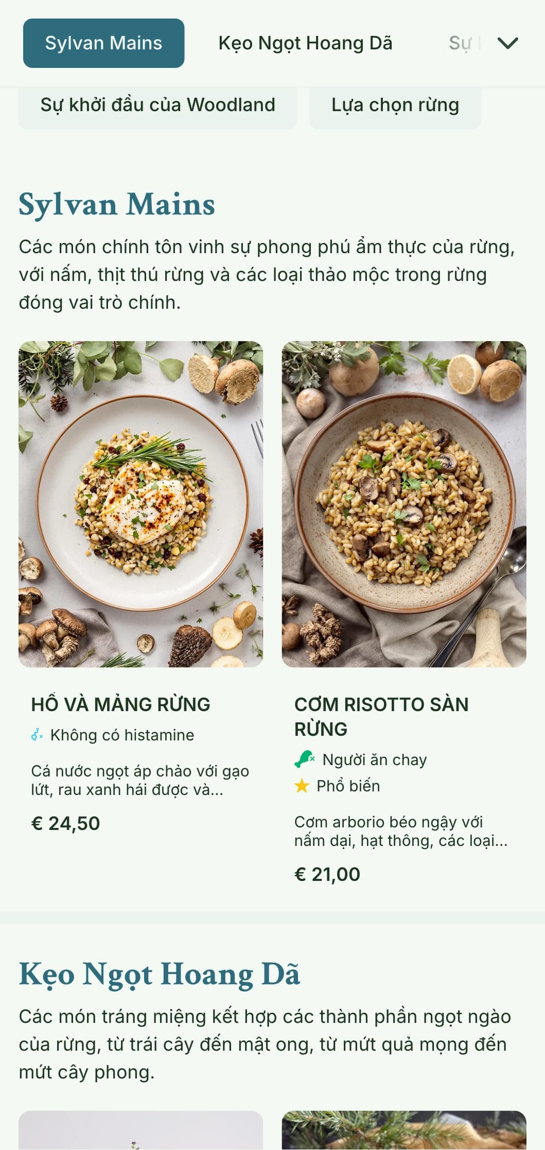 Thiết kế thực đơn bữa trưa thanh bình lấy cảm hứng từ rừng cây với kết cấu hữu cơ và tông màu đất, hoàn hảo cho các nhà hàng gần công viên và bối cảnh thiên nhiên.
