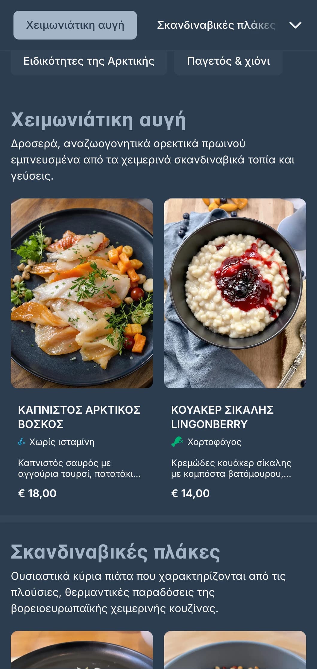 Βαθύ μπλε πρότυπο με δροσερές πινελιές, εμπνευσμένο από τη σκανδιναβική χειμερινή αισθητική για σύγχρονα καφέ.