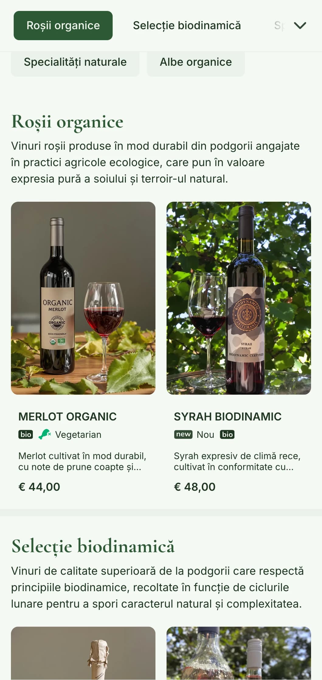 Șablon pentru lista de vinuri inspirat din natură, cu tonuri pământii și elemente botanice, perfect pentru selecțiile de vinuri organice și restaurantele de la fermă la masă.