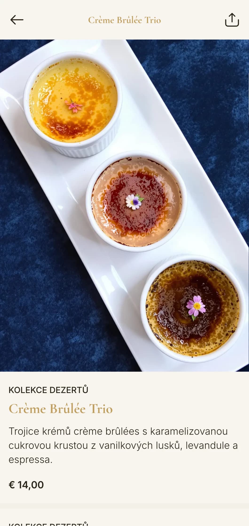 Sofistikované cateringové služby pro luxusní akce s elegantní prezentací, rafinovaným servírováním a luxusními ingrediencemi pro firemní setkání a slavnostní oslavy.