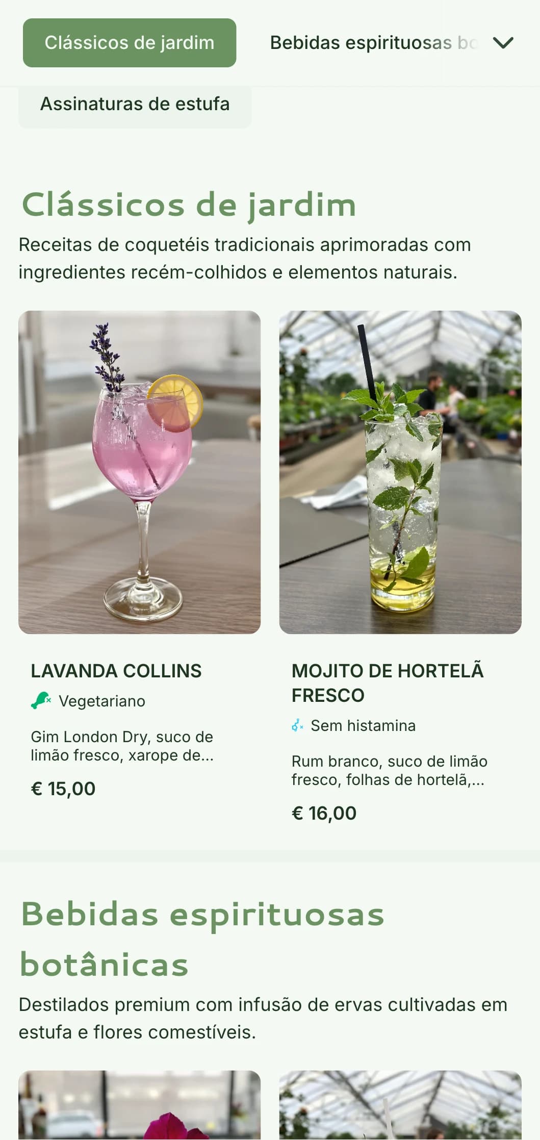 Um design fresco e inspirado na conservação para bares de jardim e lounges botânicos, com tons verdes e tipografia arejada.