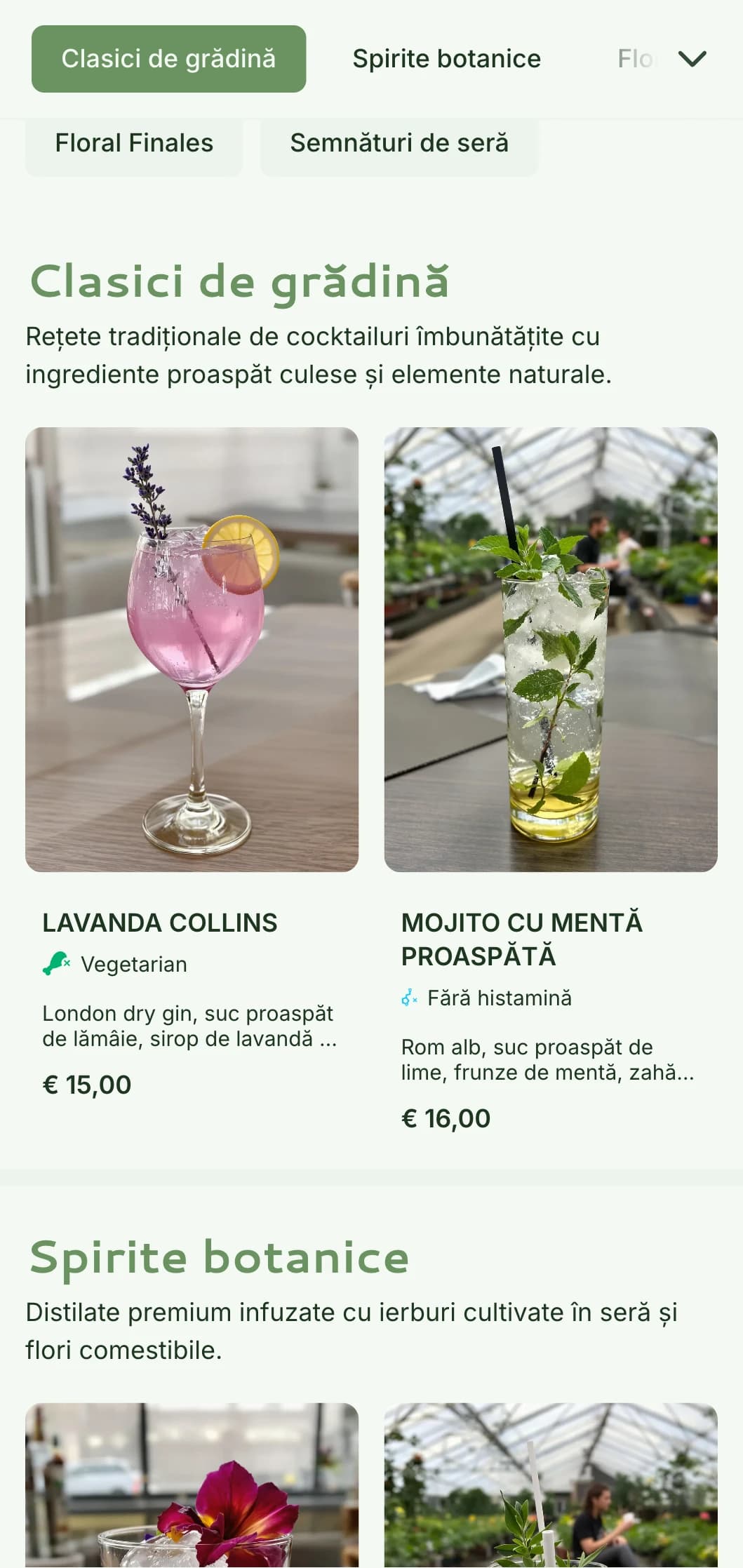 Un design proaspăt, inspirat de conservator, pentru baruri de grădină și saloane botanice, cu tonuri verzi și tipografie aerisită.