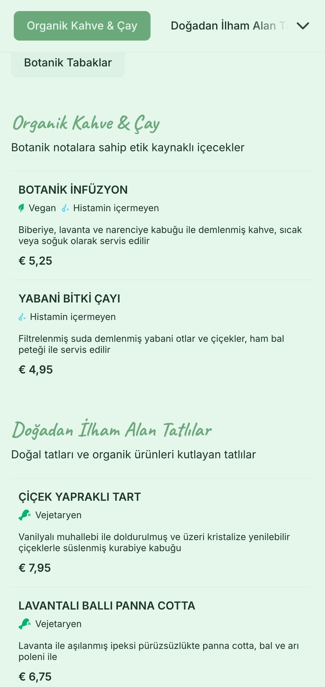 Bahçe kafeleri ve organik brunch mekanları için botanik öğeler içeren taze yeşil temalı tasarım.
