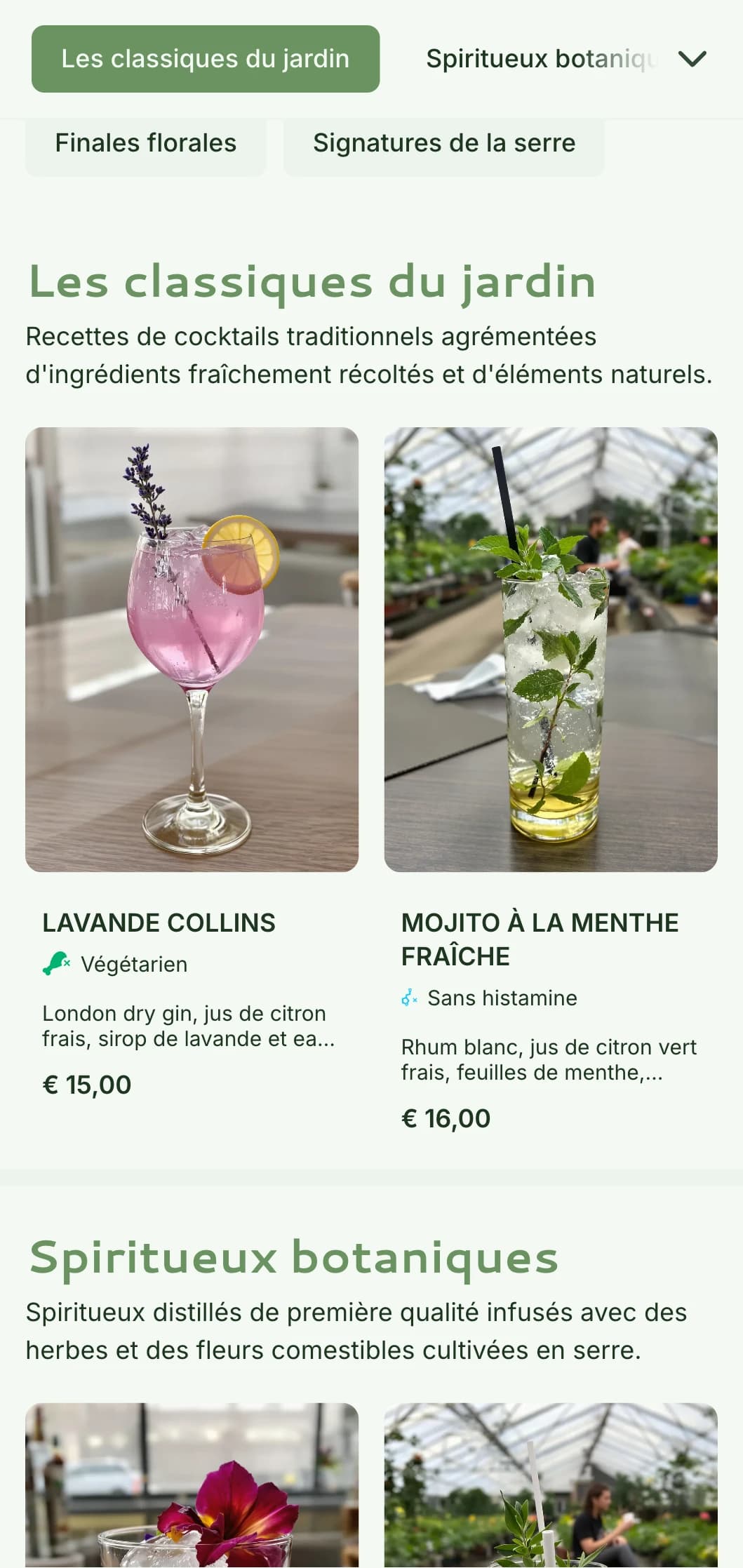 Un design frais, d'inspiration conservatoire, pour les bars de jardin et les salons botaniques, avec des tons verts et une typographie aérée.