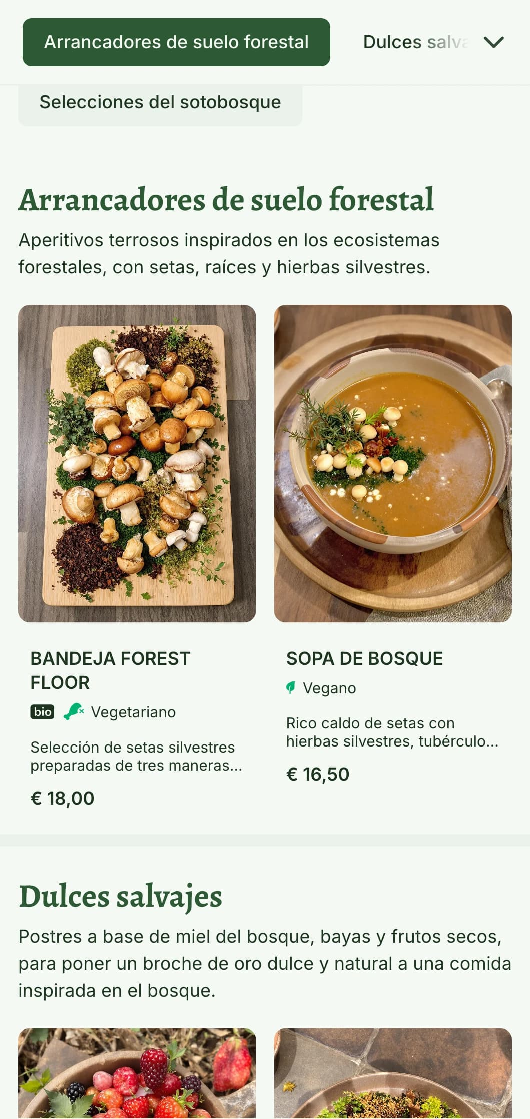 Diseño de menú de almuerzo místico, inspirado en el bosque, con elementos boscosos y texturas naturales, ideal para restaurantes en entornos boscosos o con temática forestal.