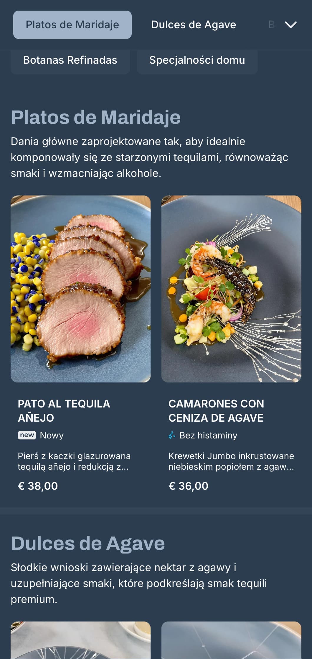 Eleganckie i wyrafinowane menu baru z tequilą w srebrnych i niebiesko-szarych odcieniach, alkohole premium i wyrafinowane meksykańskie małe talerze.