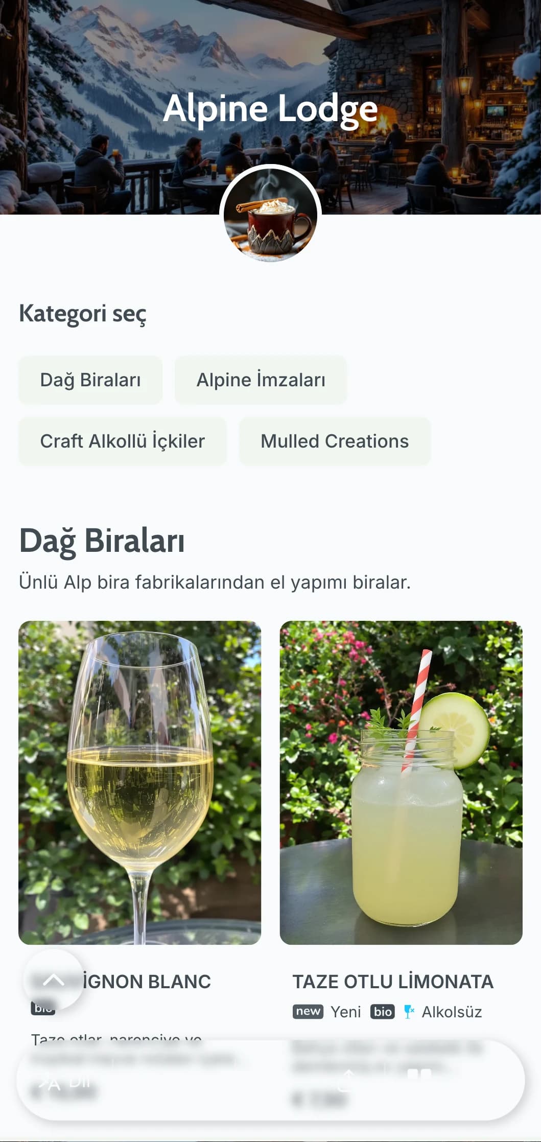 Kayak sonrası barları için dağ inzivalarından ilham alan havalı gri-mavi tasarım.
