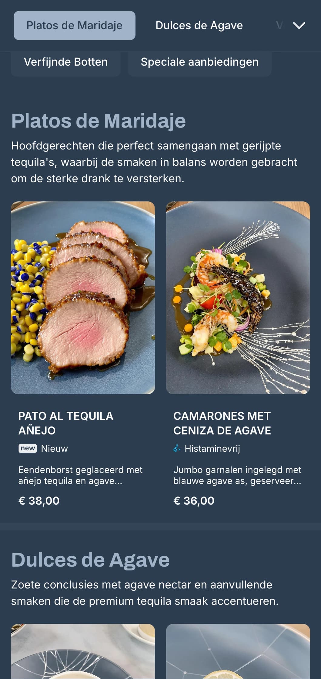 Elegant en verfijnd tequilabarmenu met zilveren en blauwgrijze tinten, eersteklas gedistilleerde dranken en verfijnde Mexicaanse kleine gerechten.