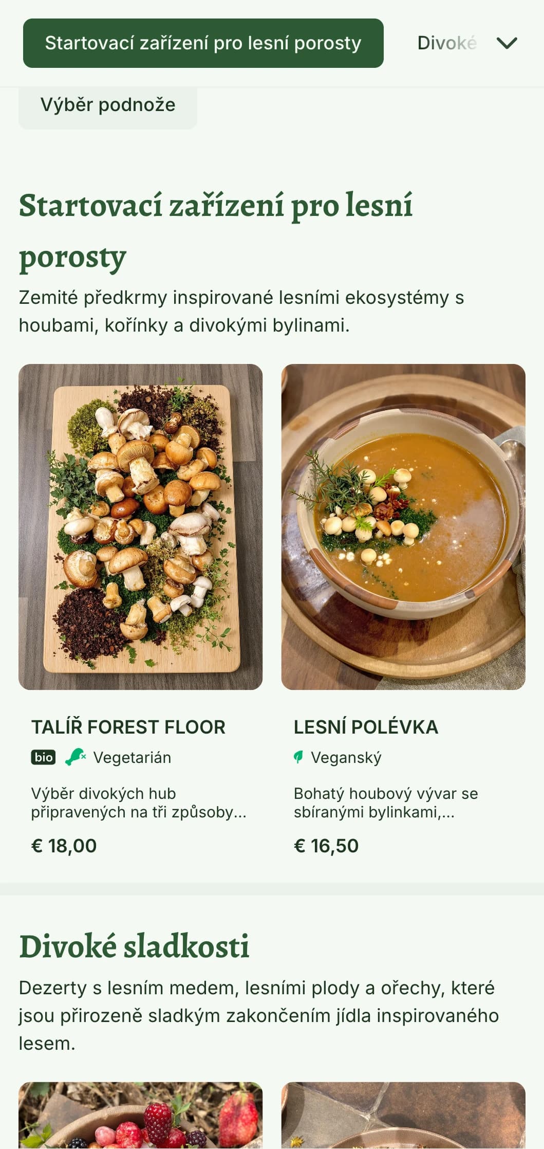 Mystický, lesem inspirovaný design poledního menu s lesními prvky a přírodními texturami, ideální pro restaurace v zalesněném prostředí nebo s lesní tematikou.