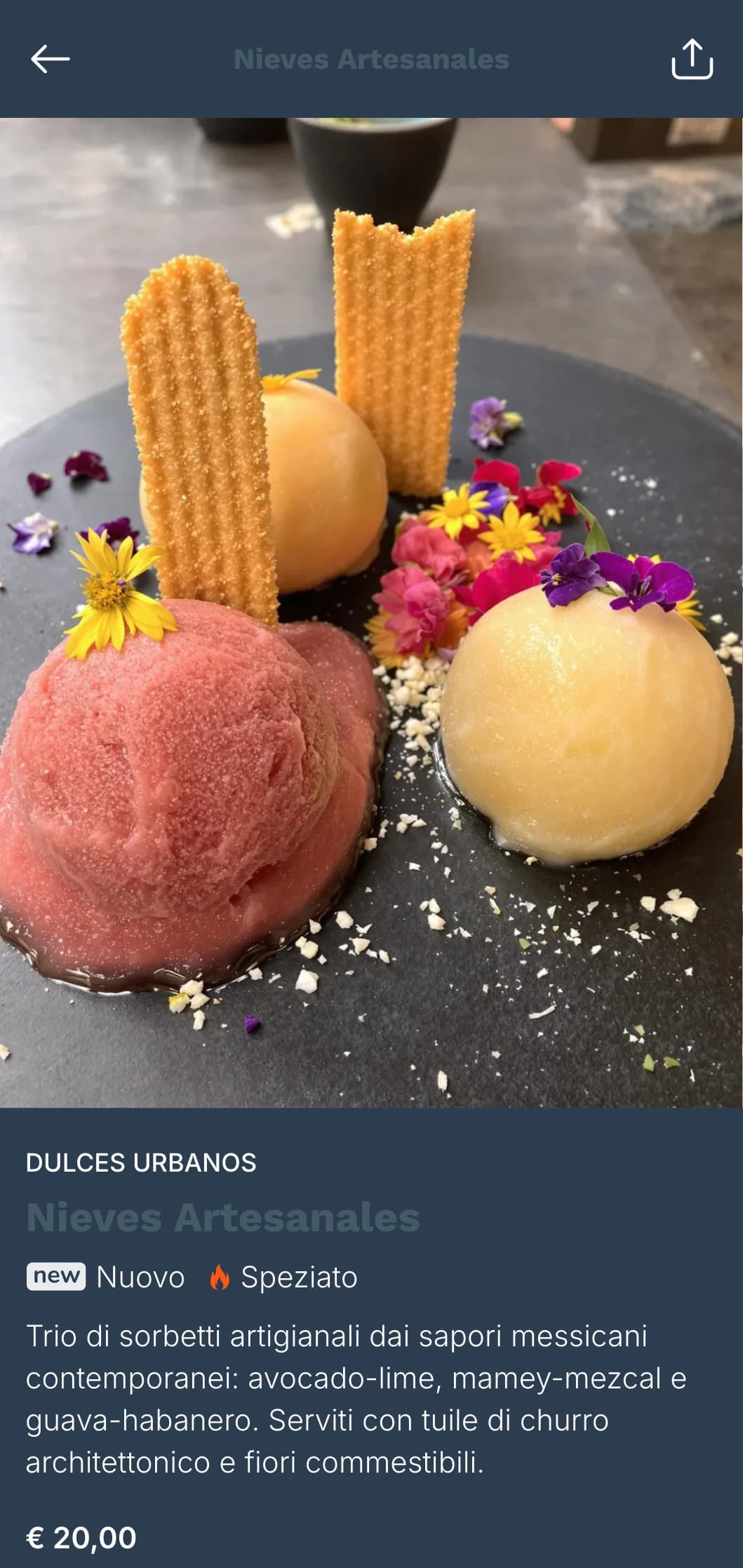Menu sofisticato e urbano ispirato alla piazza principale di Città del Messico, con toni freddi grigio-blu, piatti cosmopoliti e influenze cittadine.
