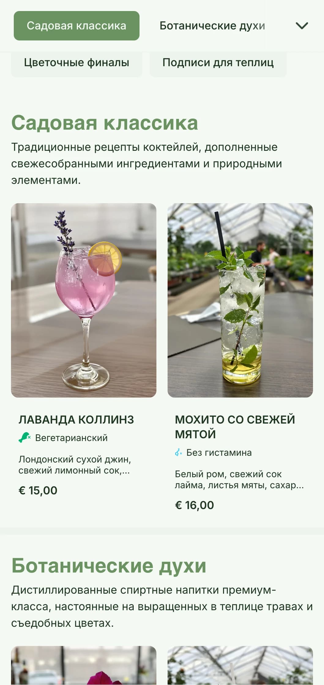Свежий, вдохновленный консерваторией дизайн для садовых баров и ботанических гостиных с зелеными тонами и воздушной типографикой.