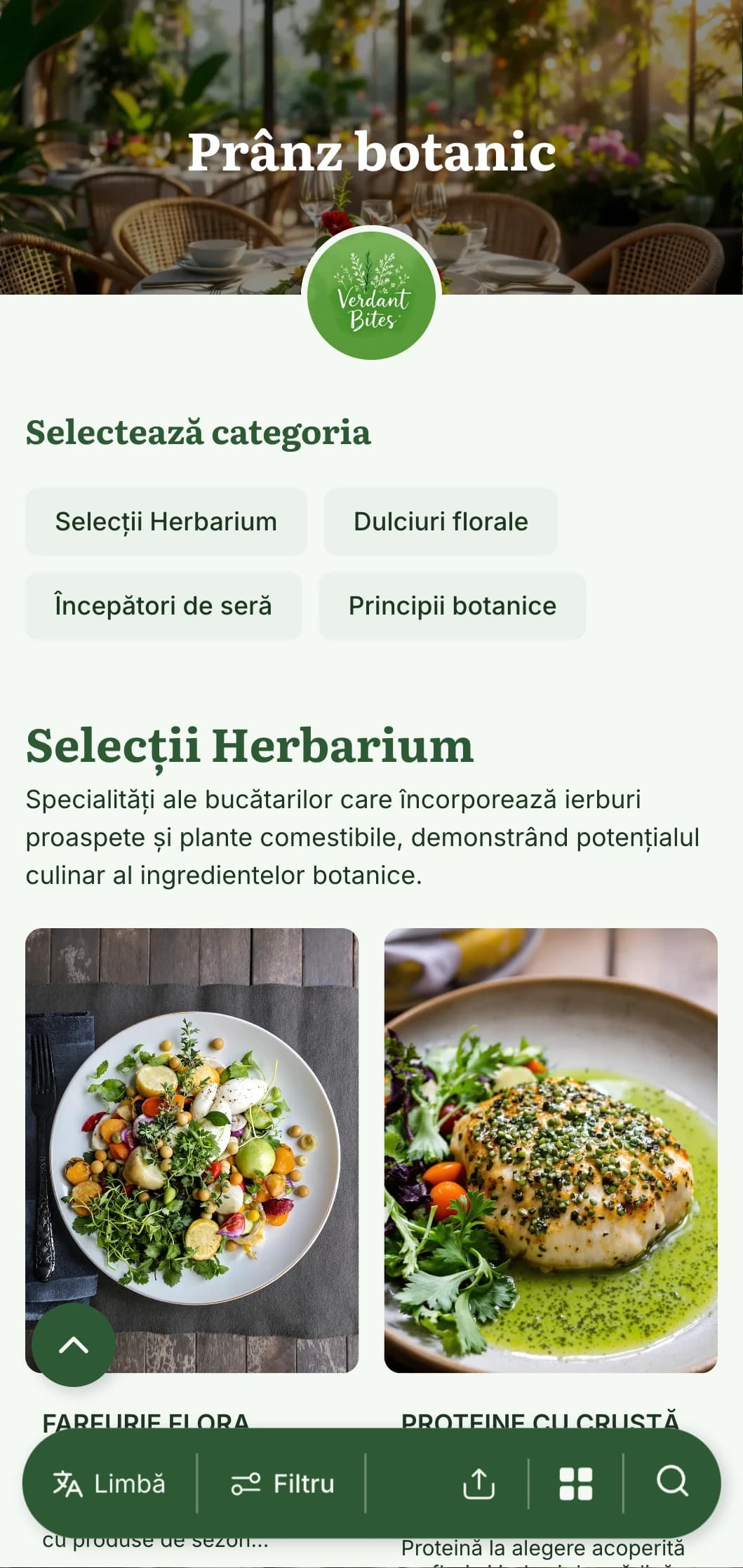 Design de meniu de prânz luxuriant, inspirat de plante, cu ilustrații botanice și texturi naturale, perfect pentru cafenele cu seră și restaurante cu grădină adiacentă.