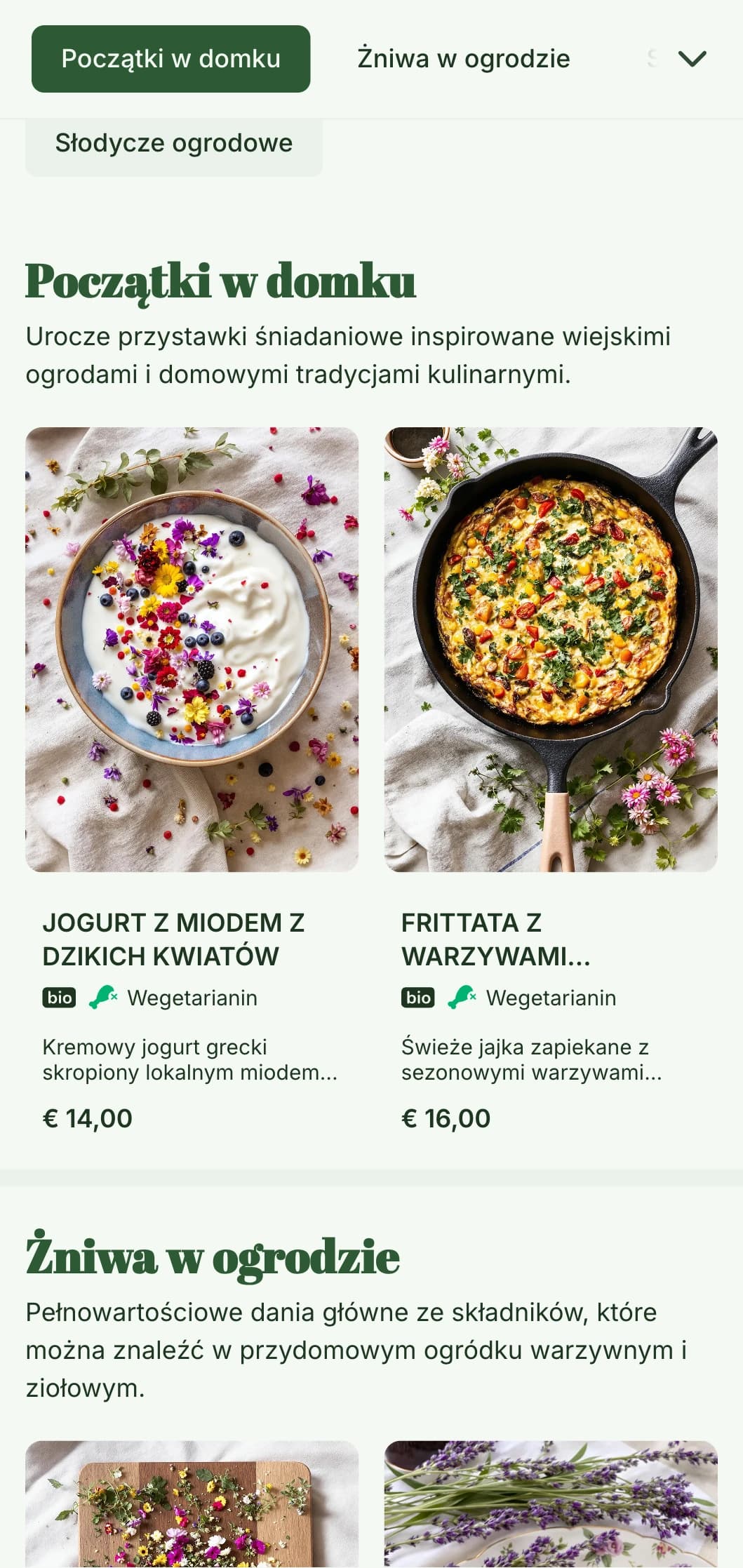 Uroczy, rustykalny szablon brunchowy o estetyce domku letniskowego, idealny do domowych kawiarni i ogrodów.