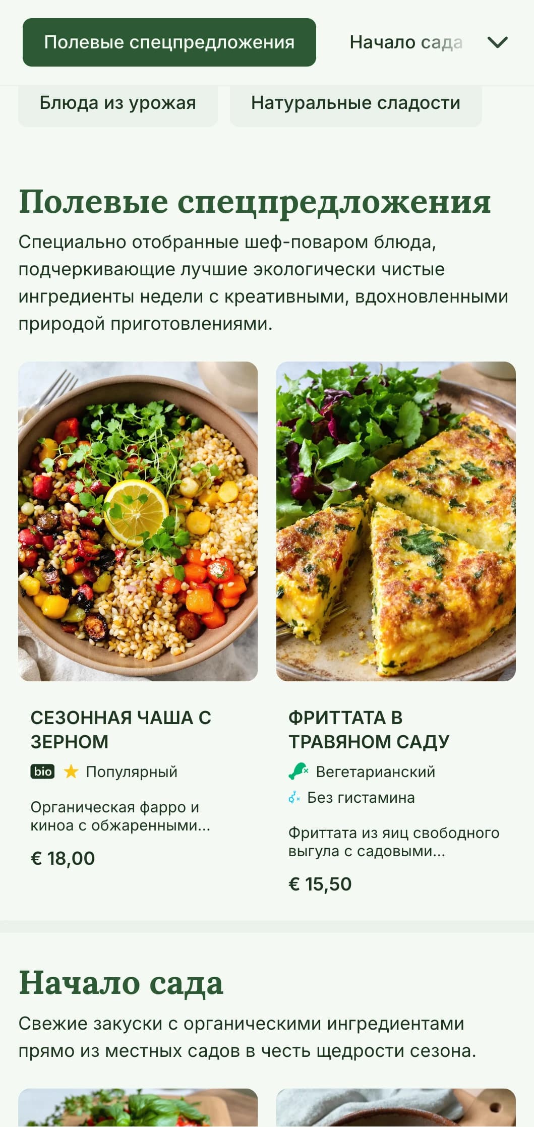 Свежий, вдохновленный природой дизайн обеденного меню, подчеркивающий сезонные ингредиенты и фермерские предложения, идеально подходит для кафе и ресторанов с акцентом на здоровое, органическое питание в полдень.