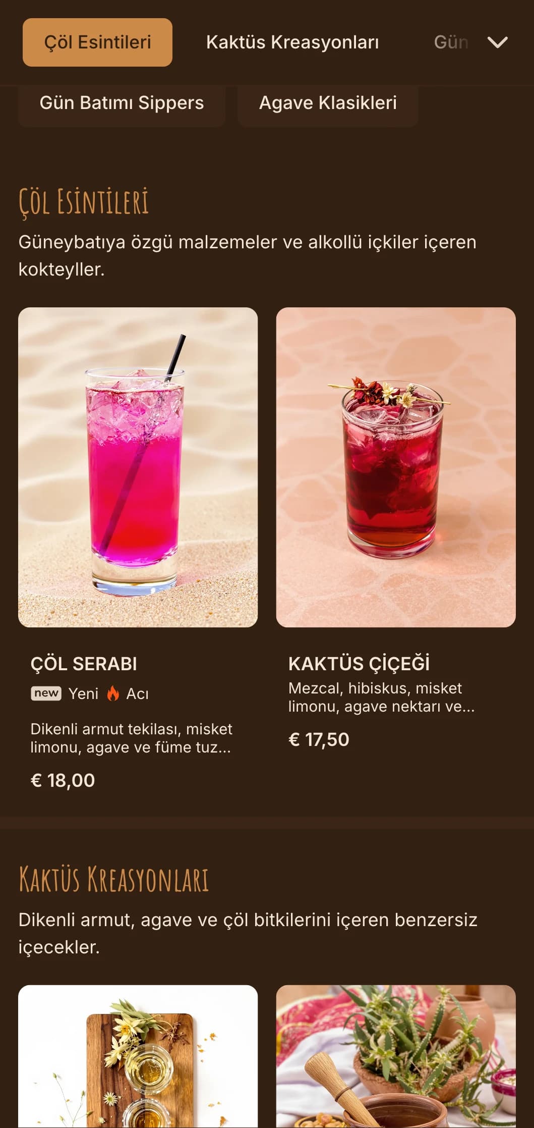 Tekila ve mezcal barlar için güneybatı motifleriyle çölden ilham alan sıcak bir palet.