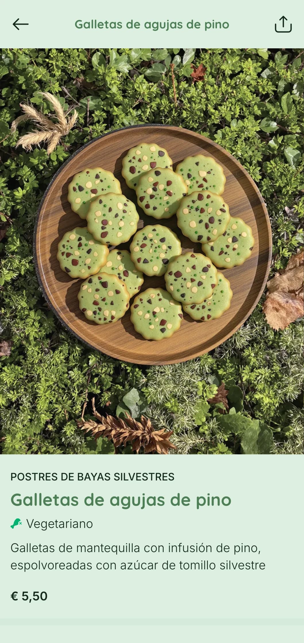Diseño verde intenso con elementos forestales para cafeterías temáticas sobre la naturaleza y restaurantes en el bosque.