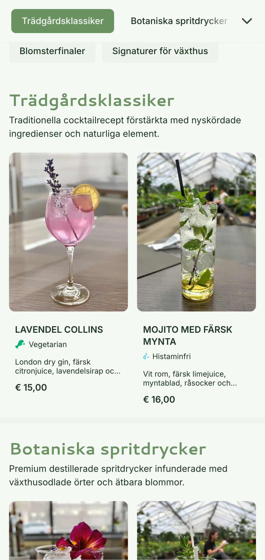 En fräsch, konservatorieinspirerad design för trädgårdsbarer och botaniska lounger med gröna toner och luftig typografi.